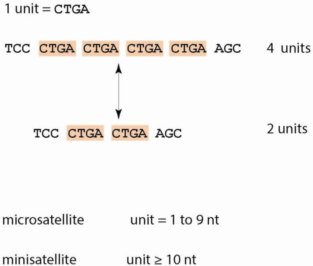 Genes 03 00461 g001 1024
