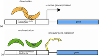 Genes 03 00461 g006 200