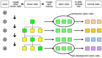 Genes 03 00492 g003 200