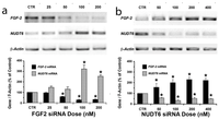 Genes 03 00505 g001 200