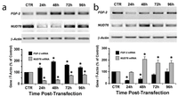 Genes 03 00505 g002 200