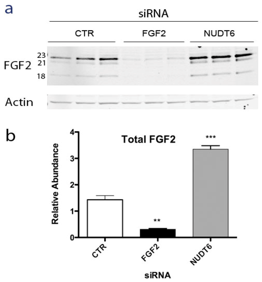 Genes 03 00505 g003 1024
