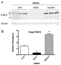 Genes 03 00505 g003 200