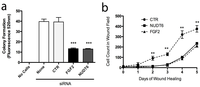 Genes 03 00505 g008 200