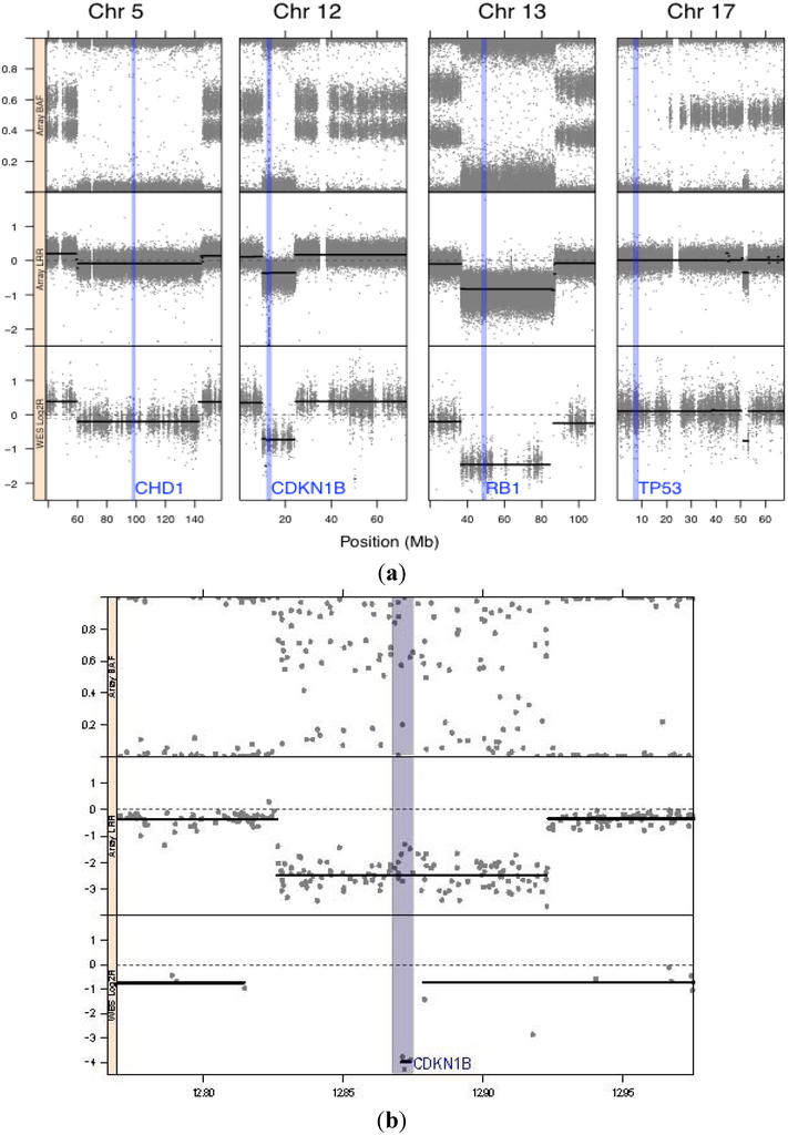 Genes 05 00366 g002 1024