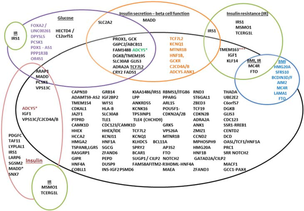 Essay on type 2 diabetes