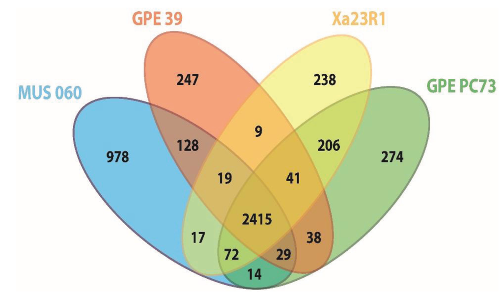 essays on homosexuality and genetics essays on homosexuality and genetics