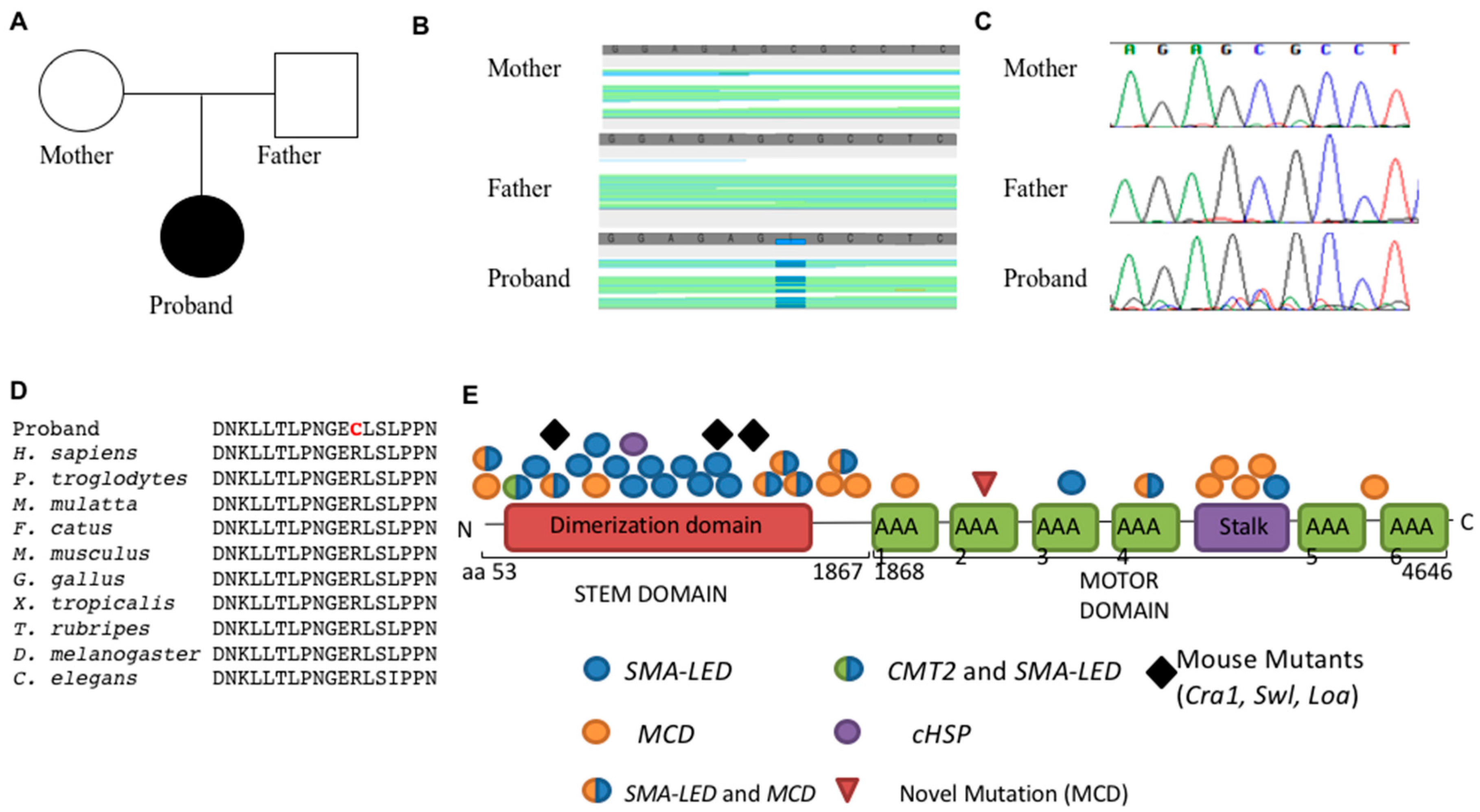 Genes 07 00085 g002
