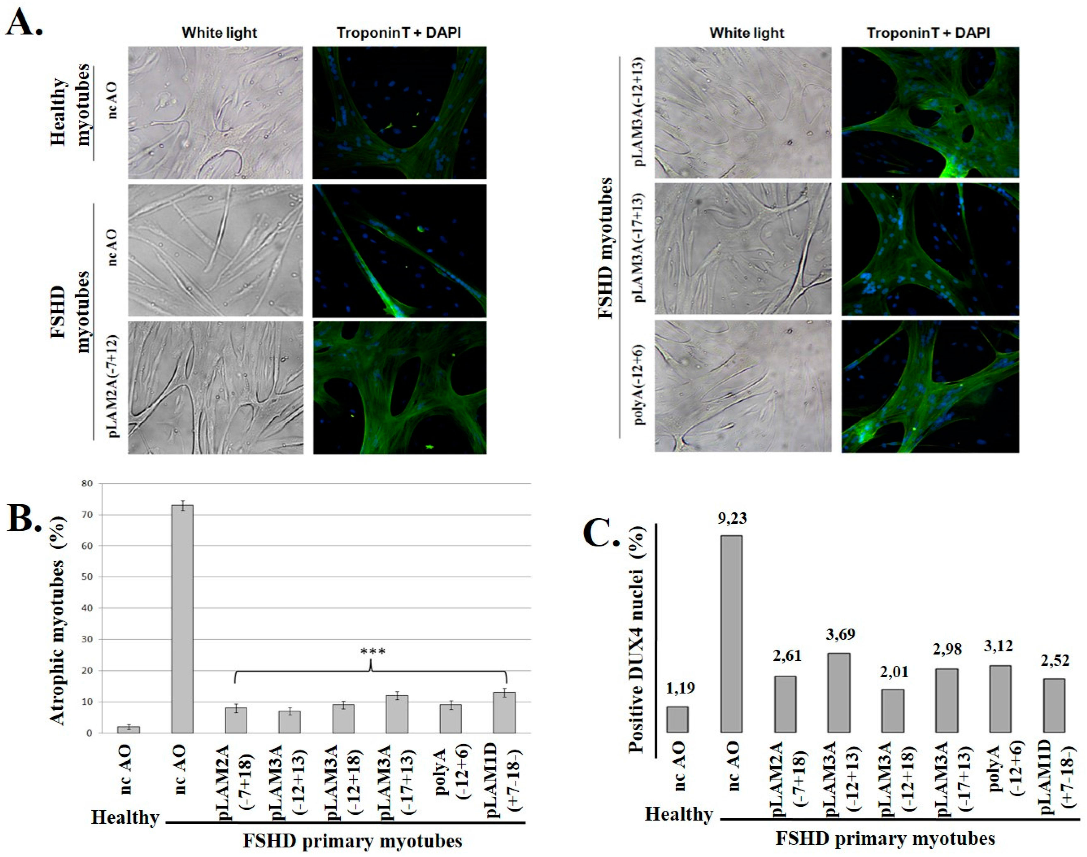 Genes 08 00093 g003