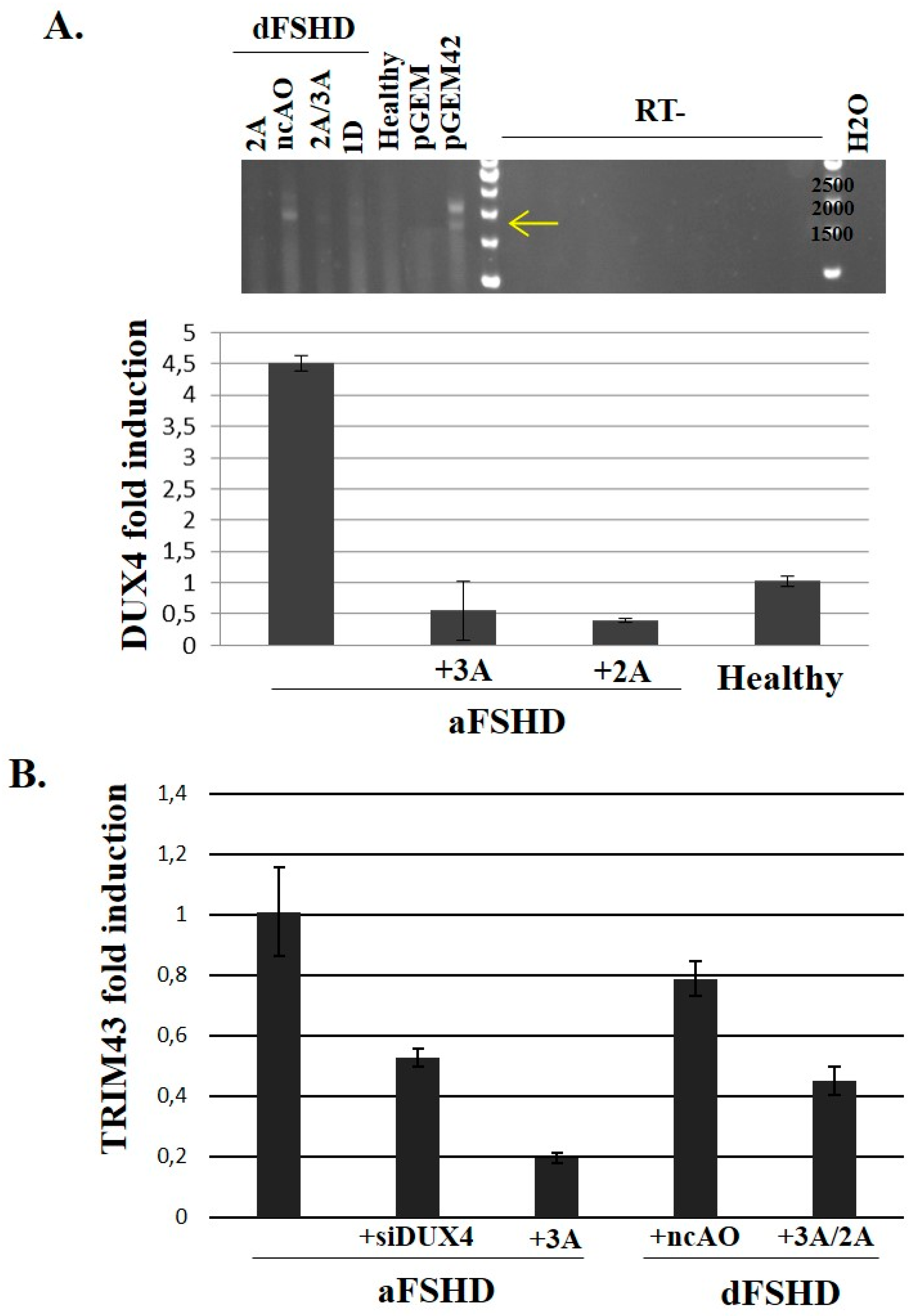 Genes 08 00093 g005