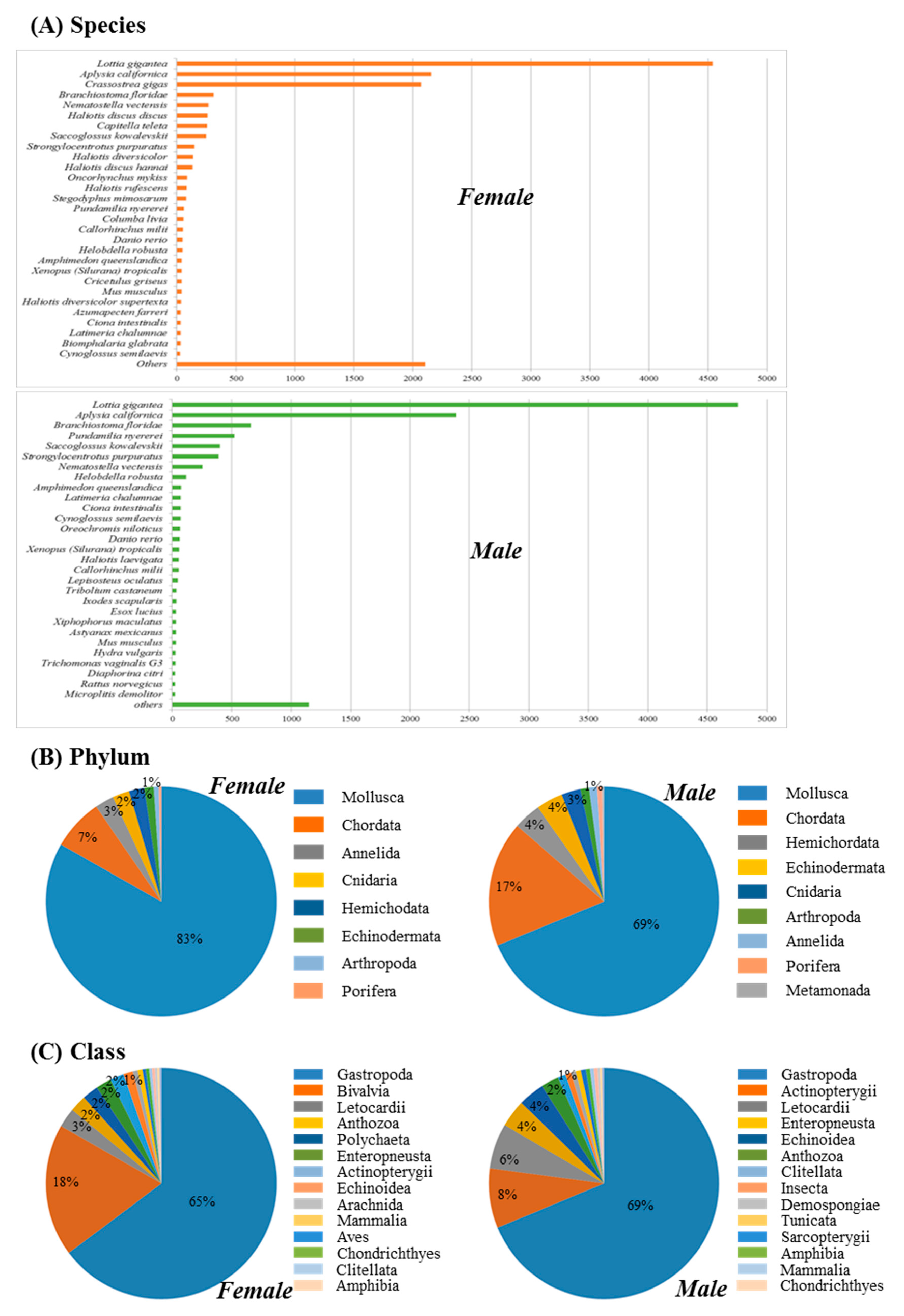 Genes, Free Full-Text