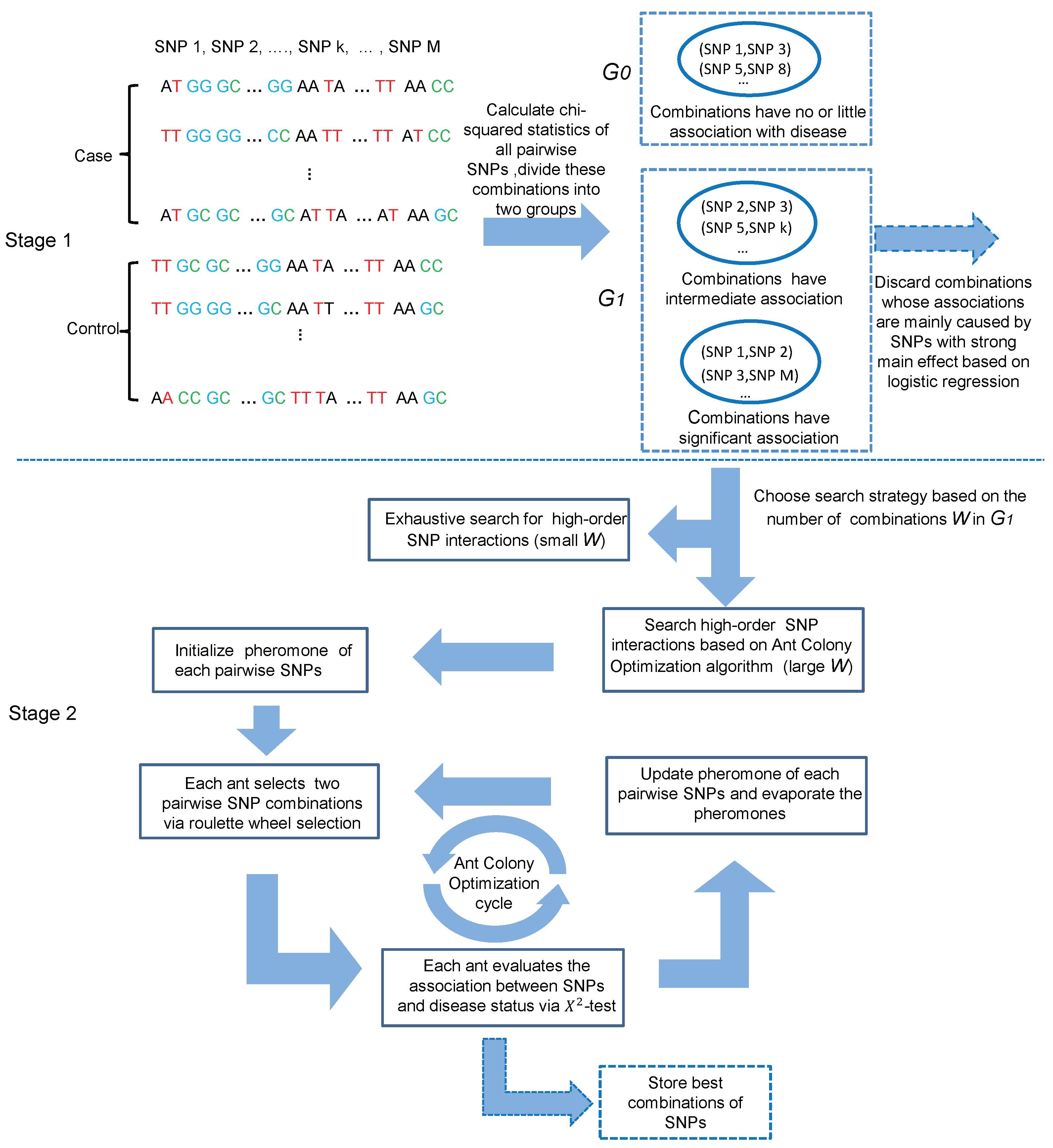 Genes 08 00153 g001
