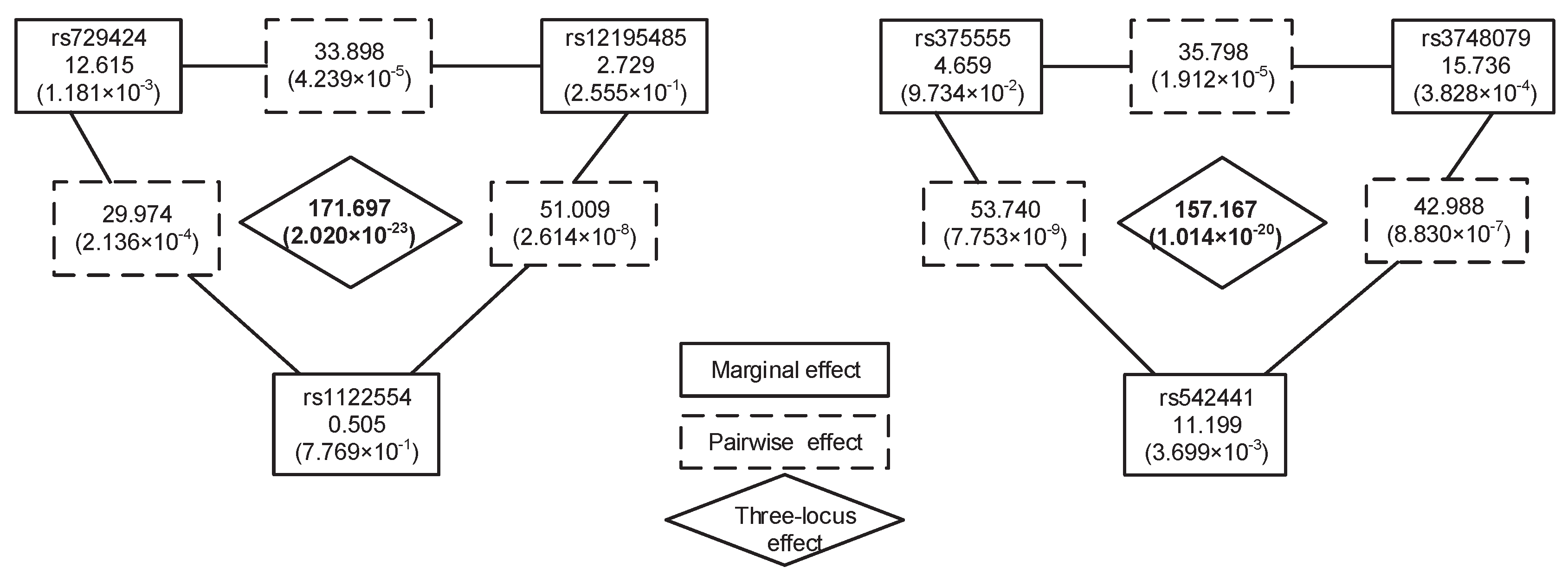 Genes 08 00153 g002