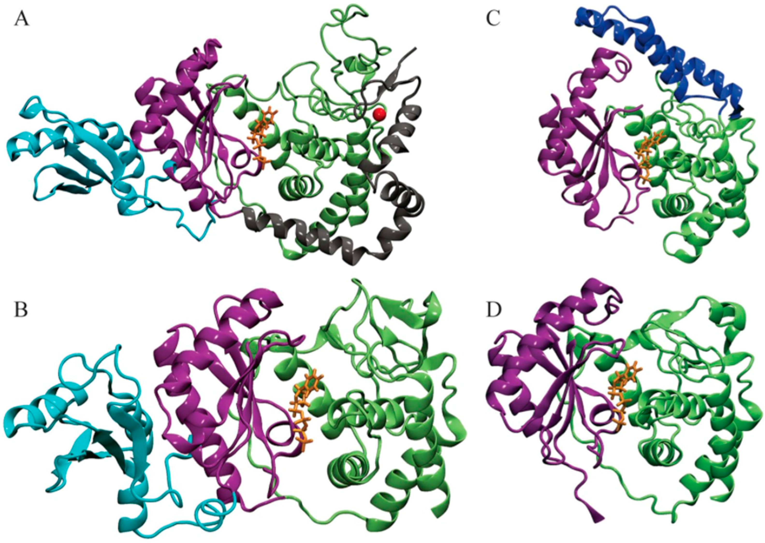 Genes 08 00166 g001