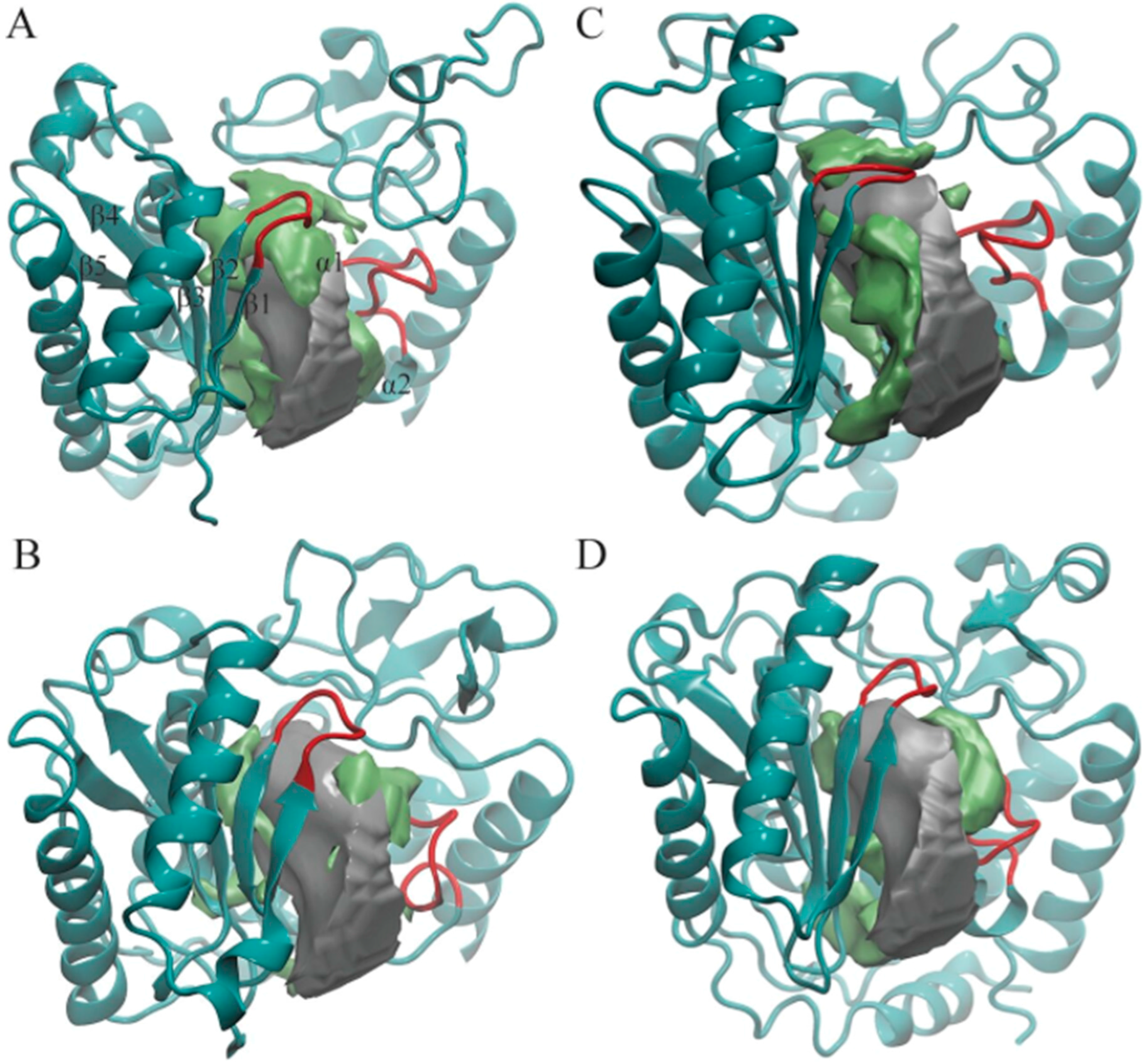 Genes 08 00166 g002