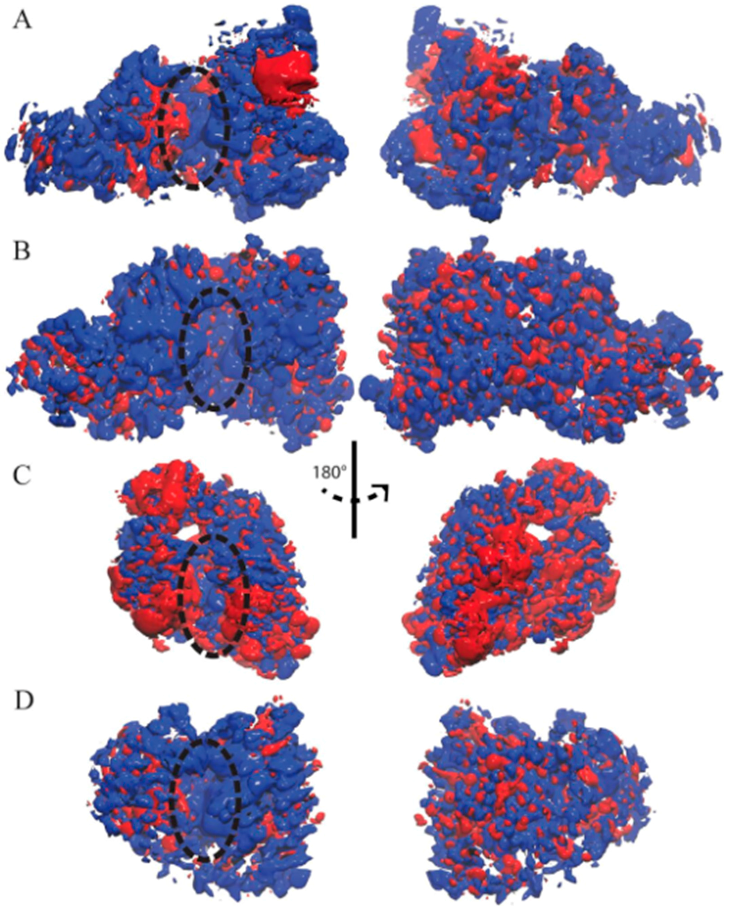 Genes 08 00166 g003