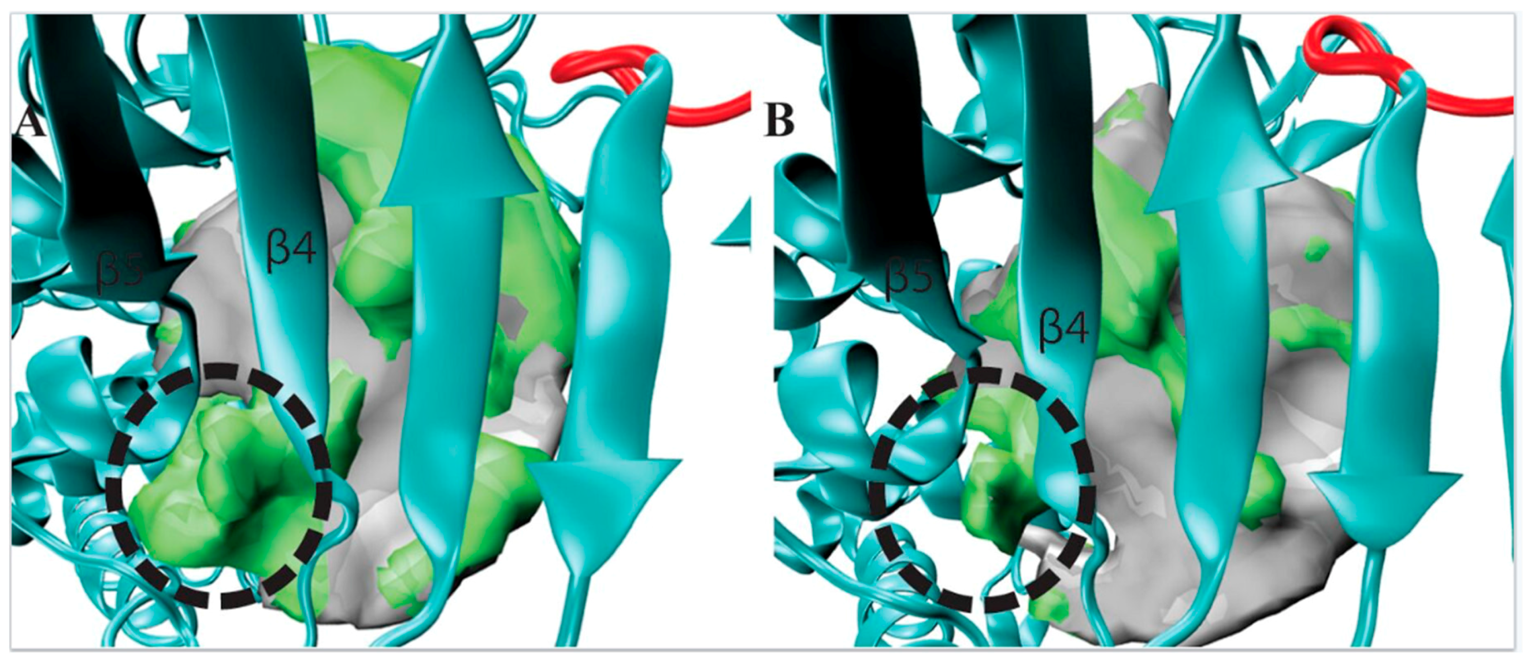 Genes 08 00166 g004