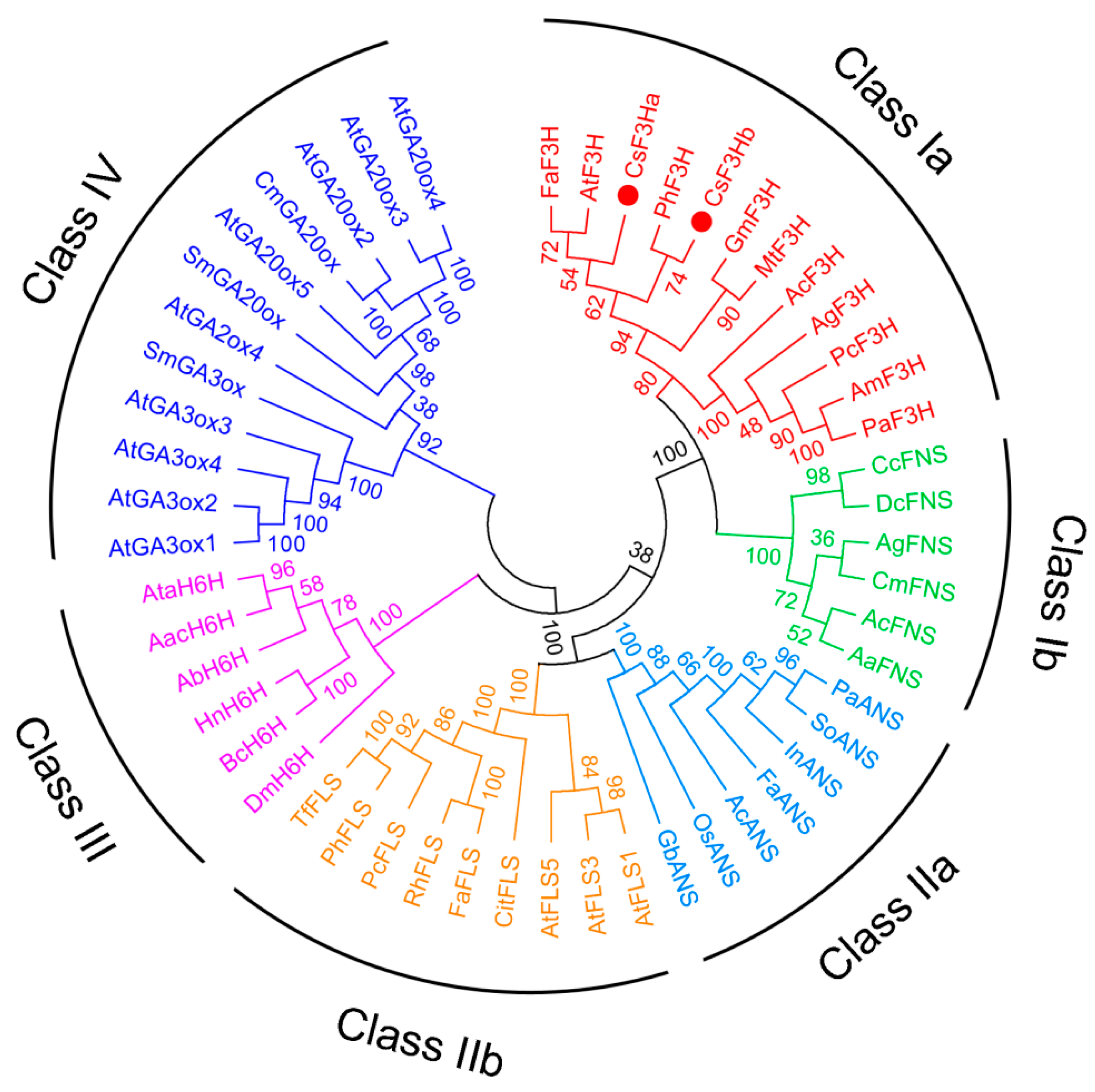 Genes 08 00300 g002