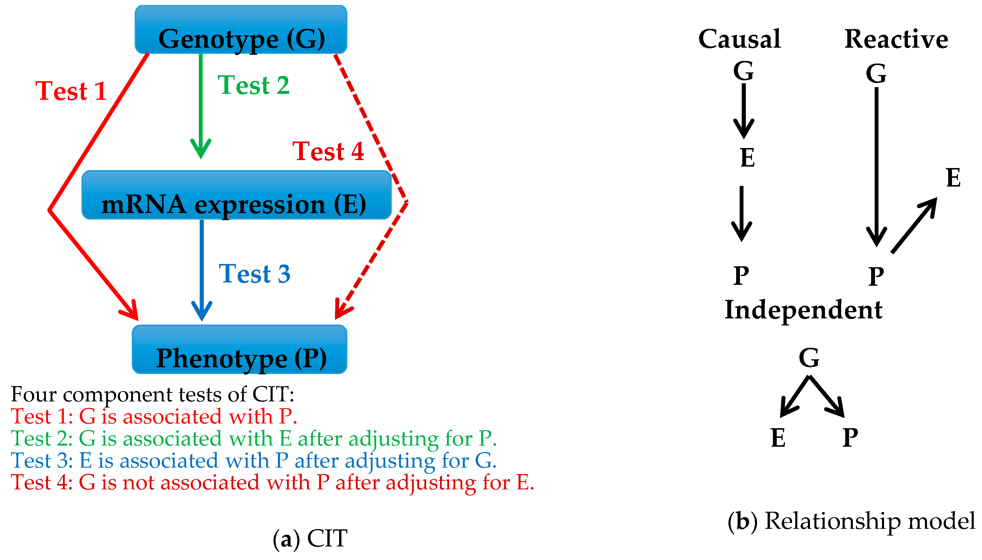 causal analysis