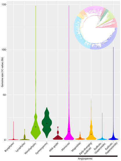 genes free full text genome size diversity and its impact on the arabidopsis genome size