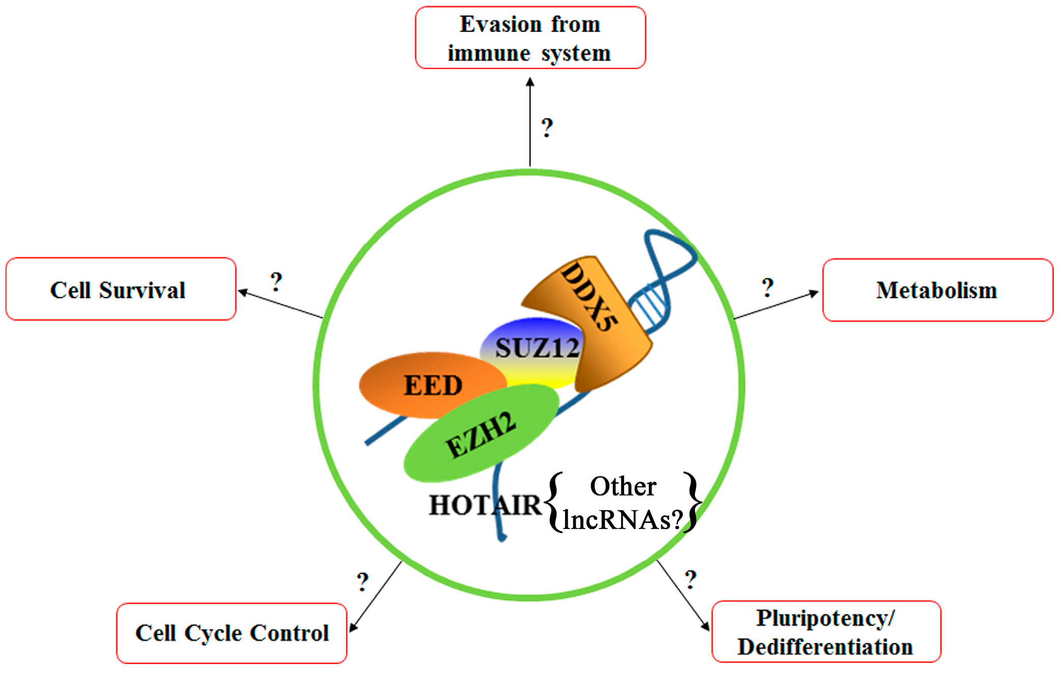 Genes 09 00137 g003