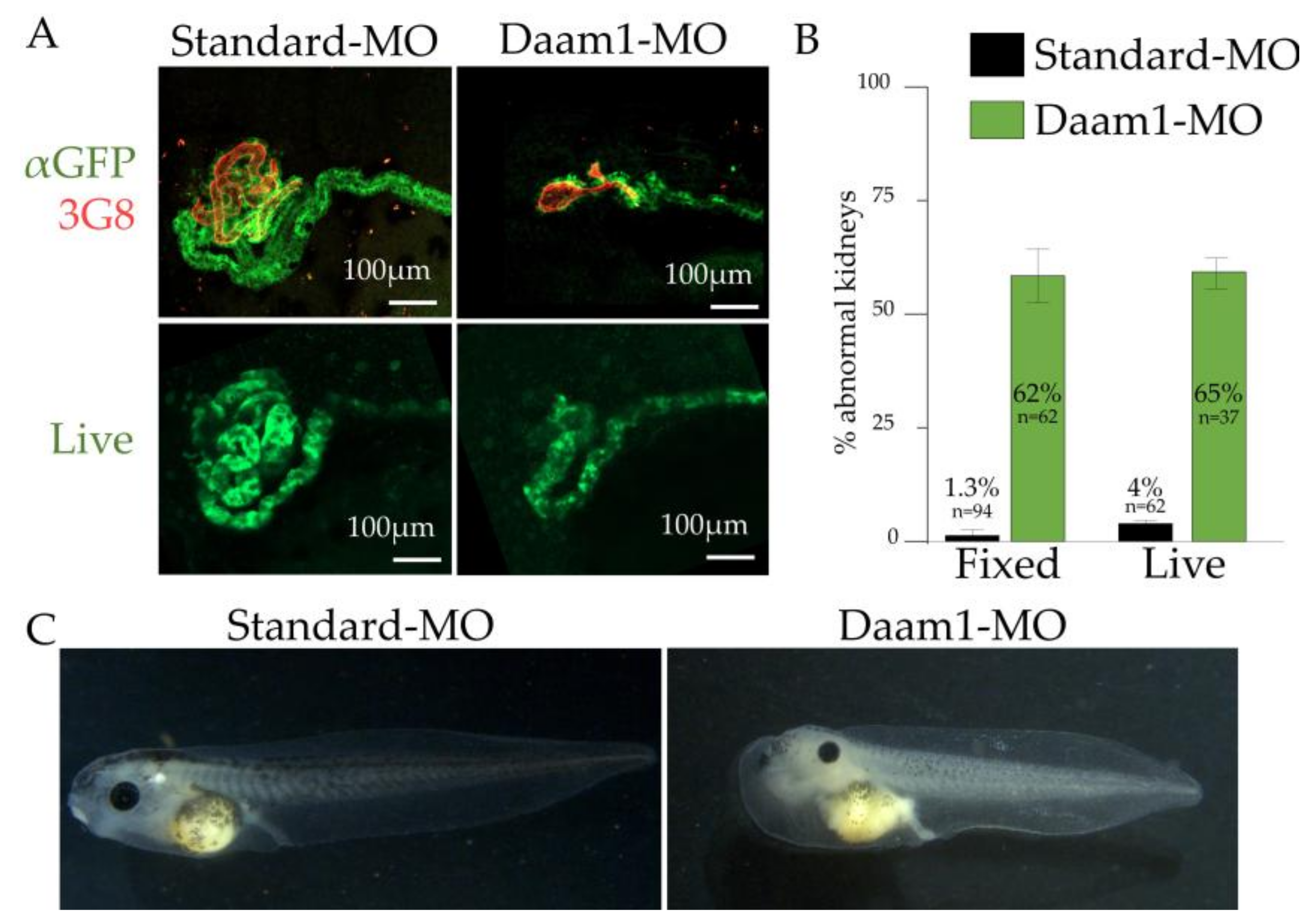 Genes 09 00197 g009