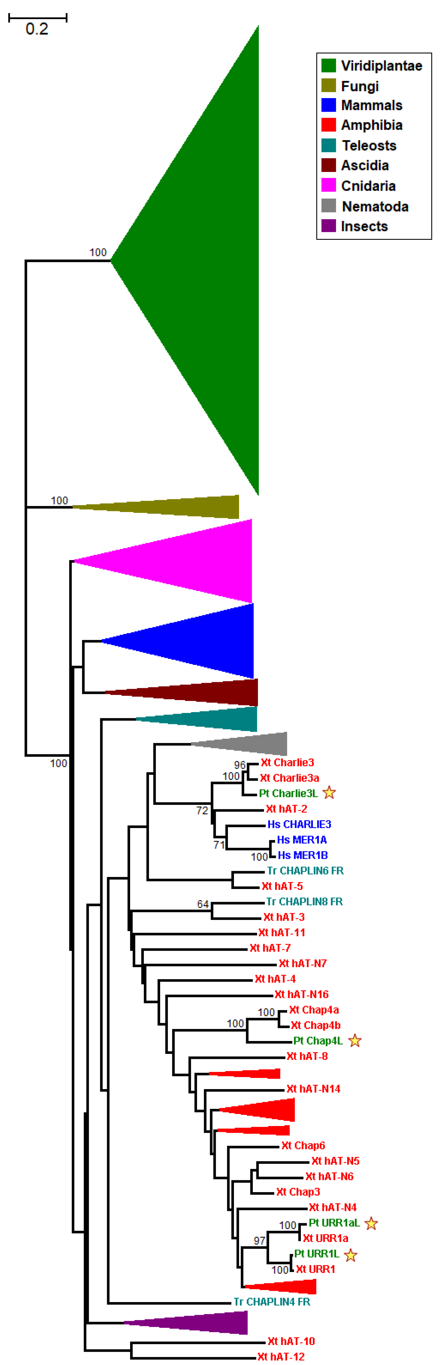 Genes 09 00284 g001