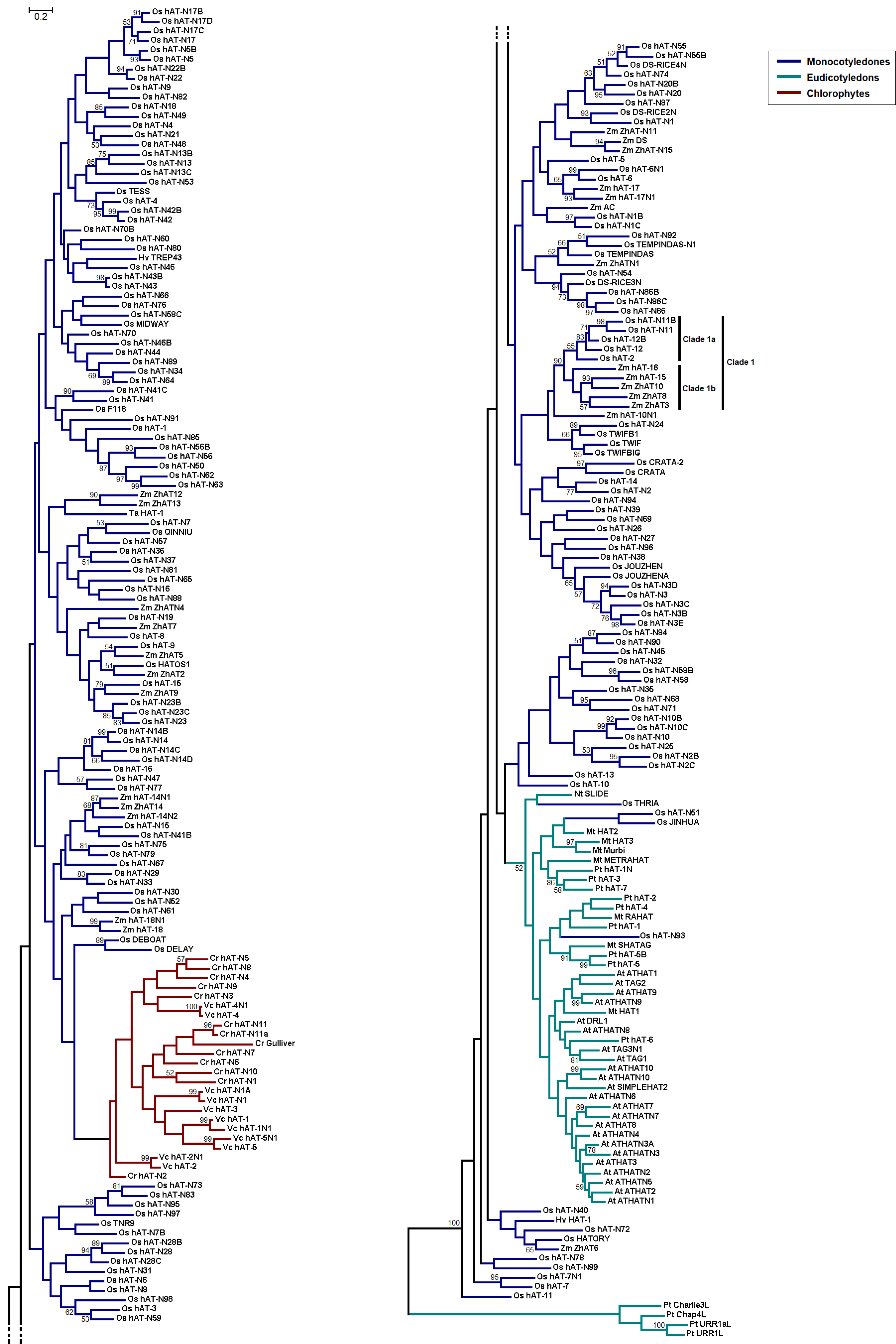 Genes 09 00284 g002
