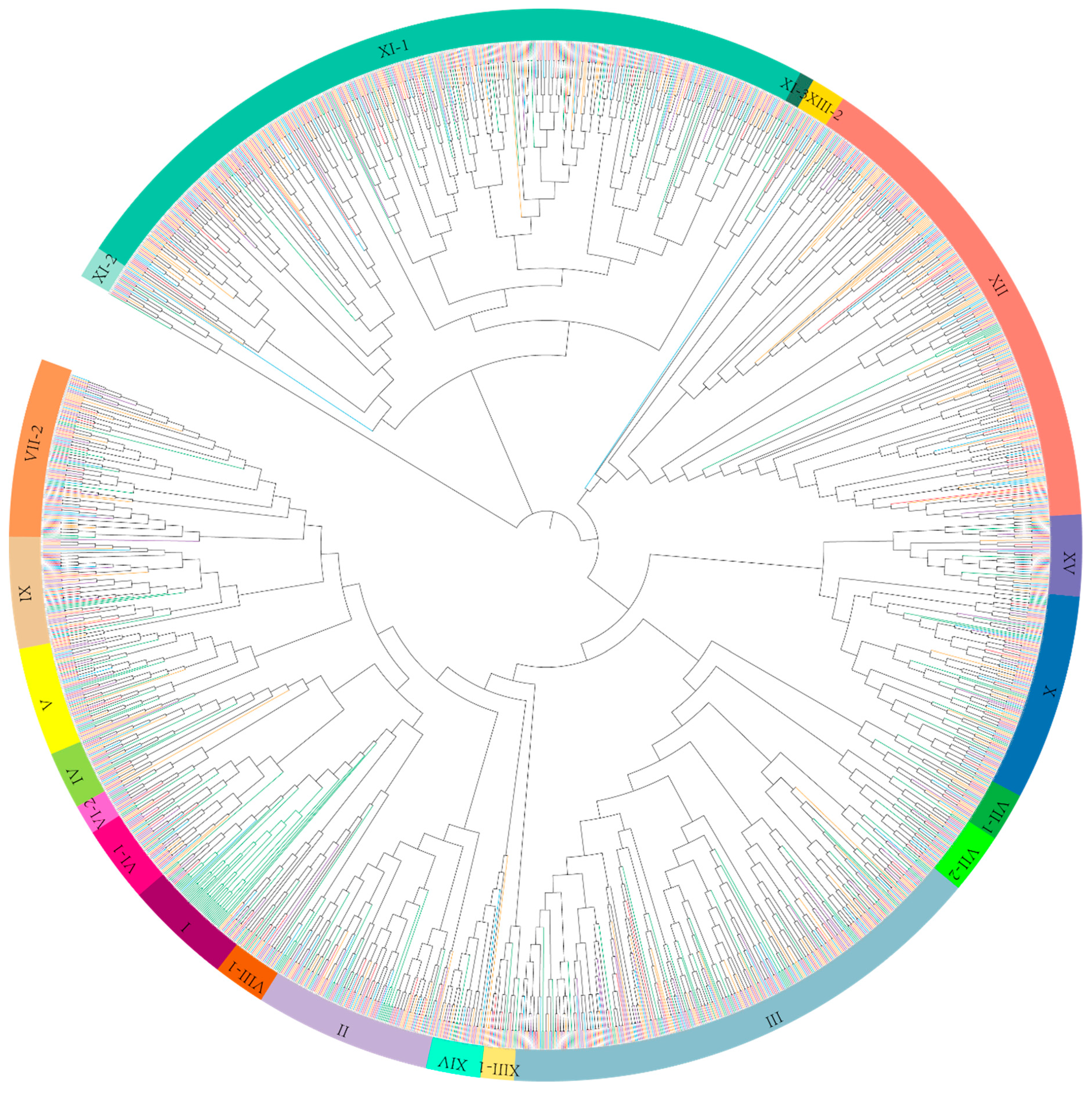 Genes 09 00592 g001 Genes 09 00592 g001