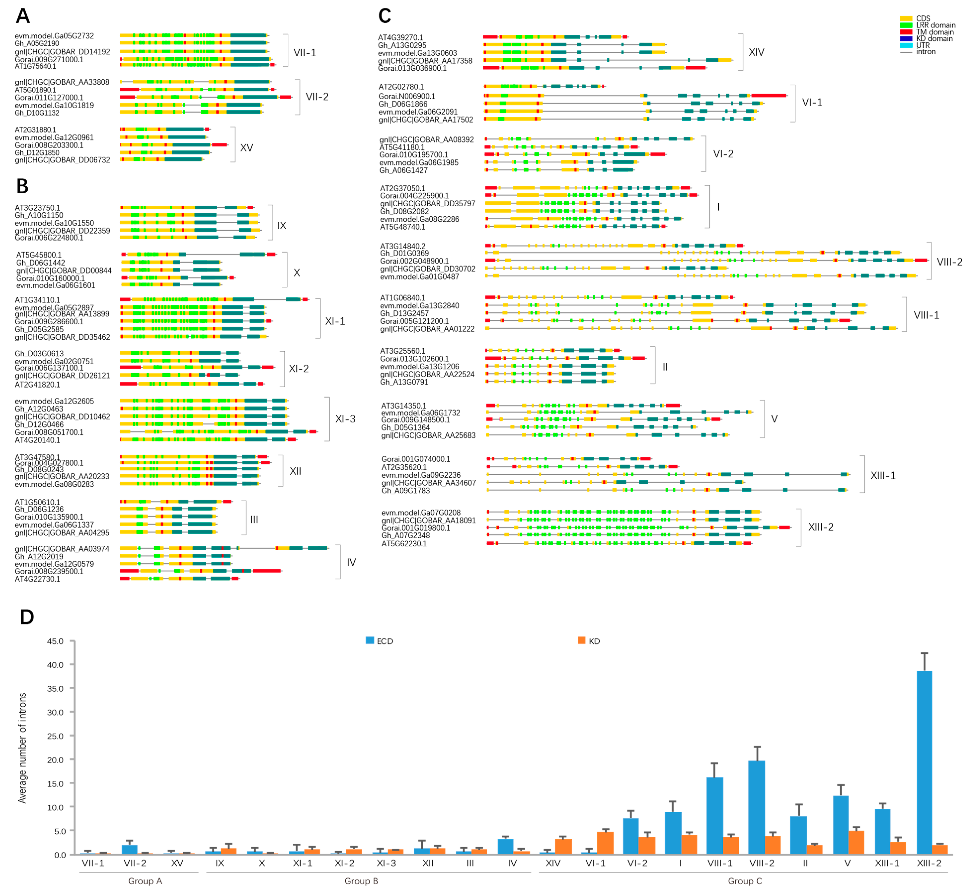 Genes 09 00592 g002 Genes 09 00592 g002