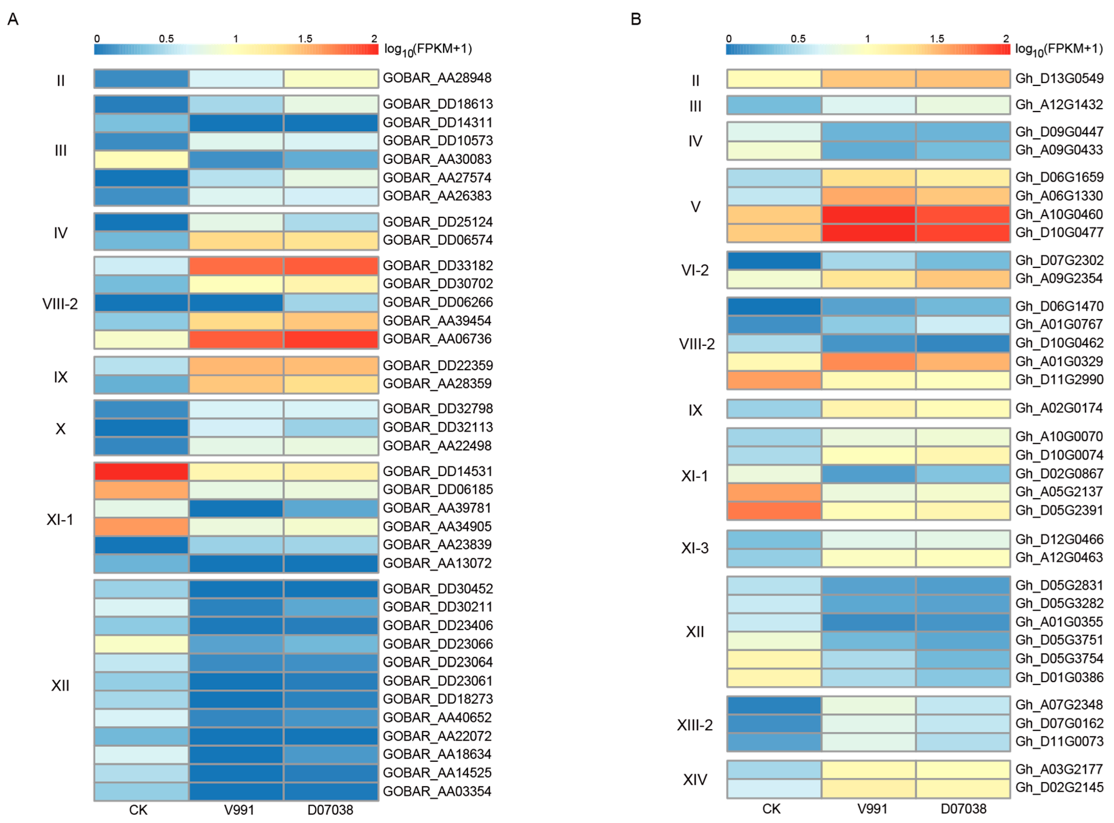 Genes 09 00592 g008 Genes 09 00592 g008