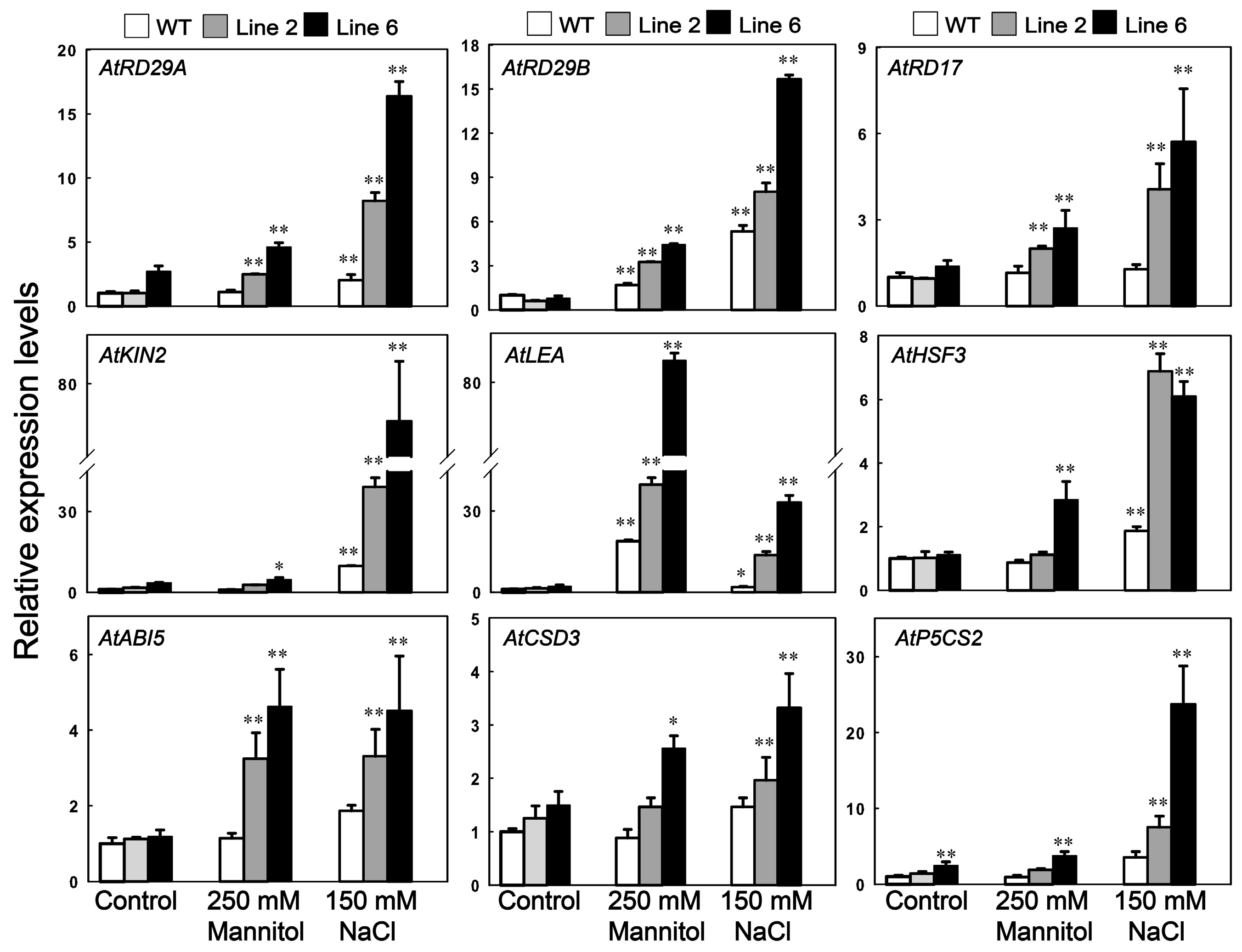 Genes 10 00146 g006