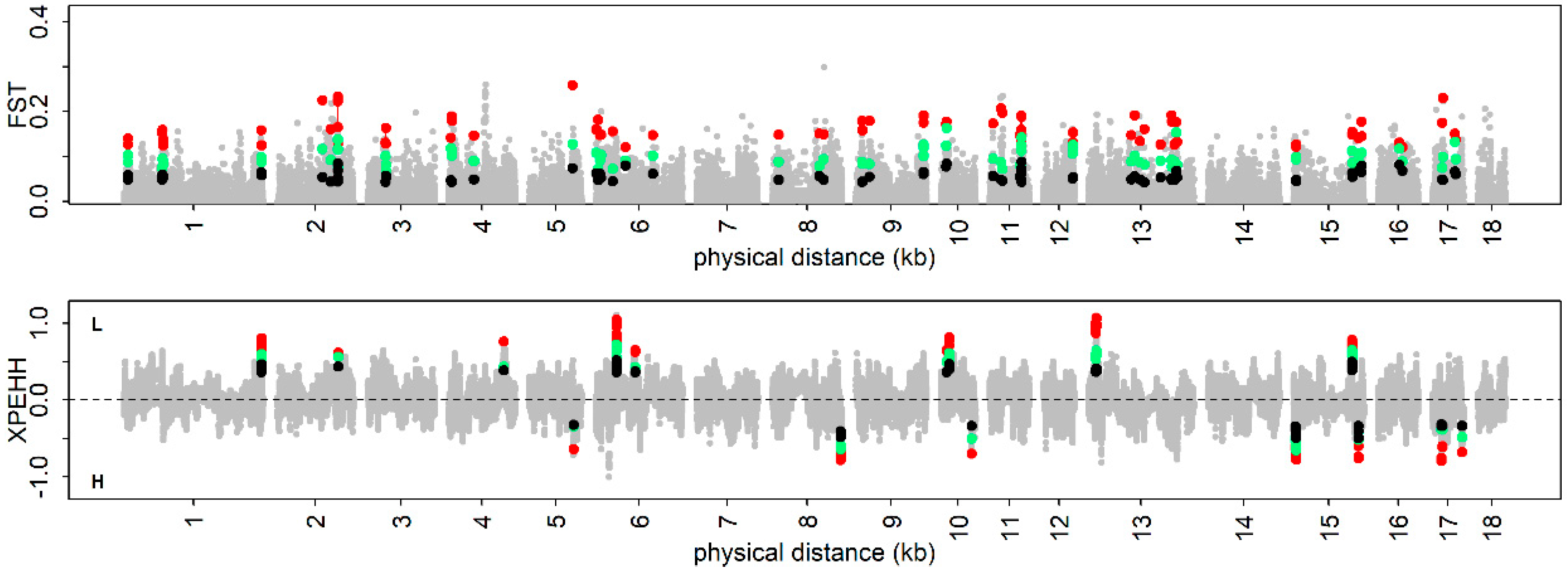 Genes 10 00254 g004 Genes 10 00254 g004