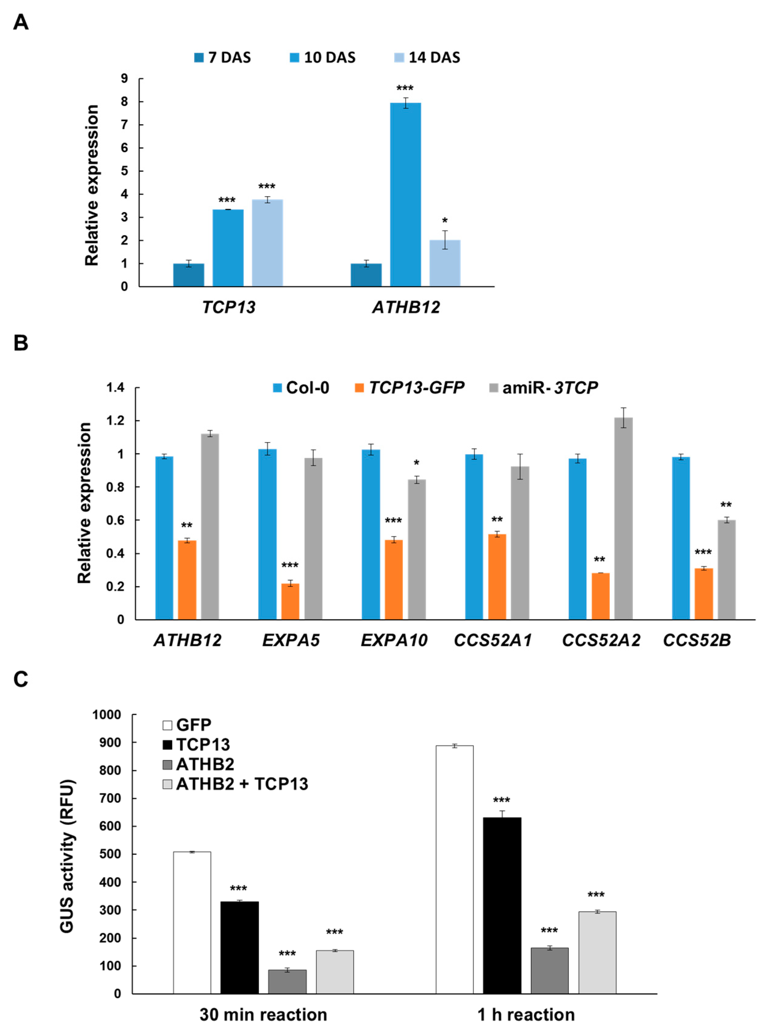 Genes 10 00644 g005