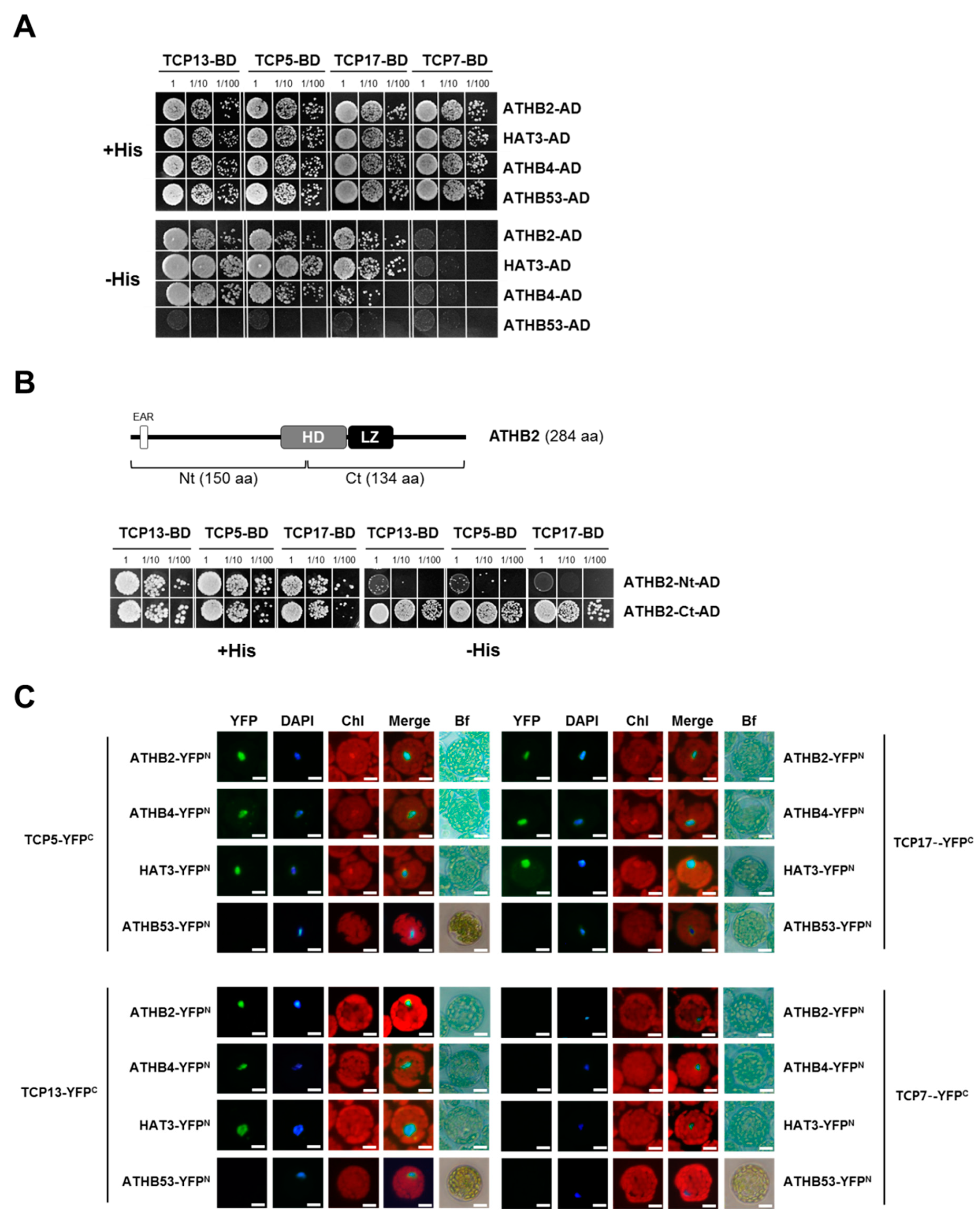 Genes 10 00644 g006