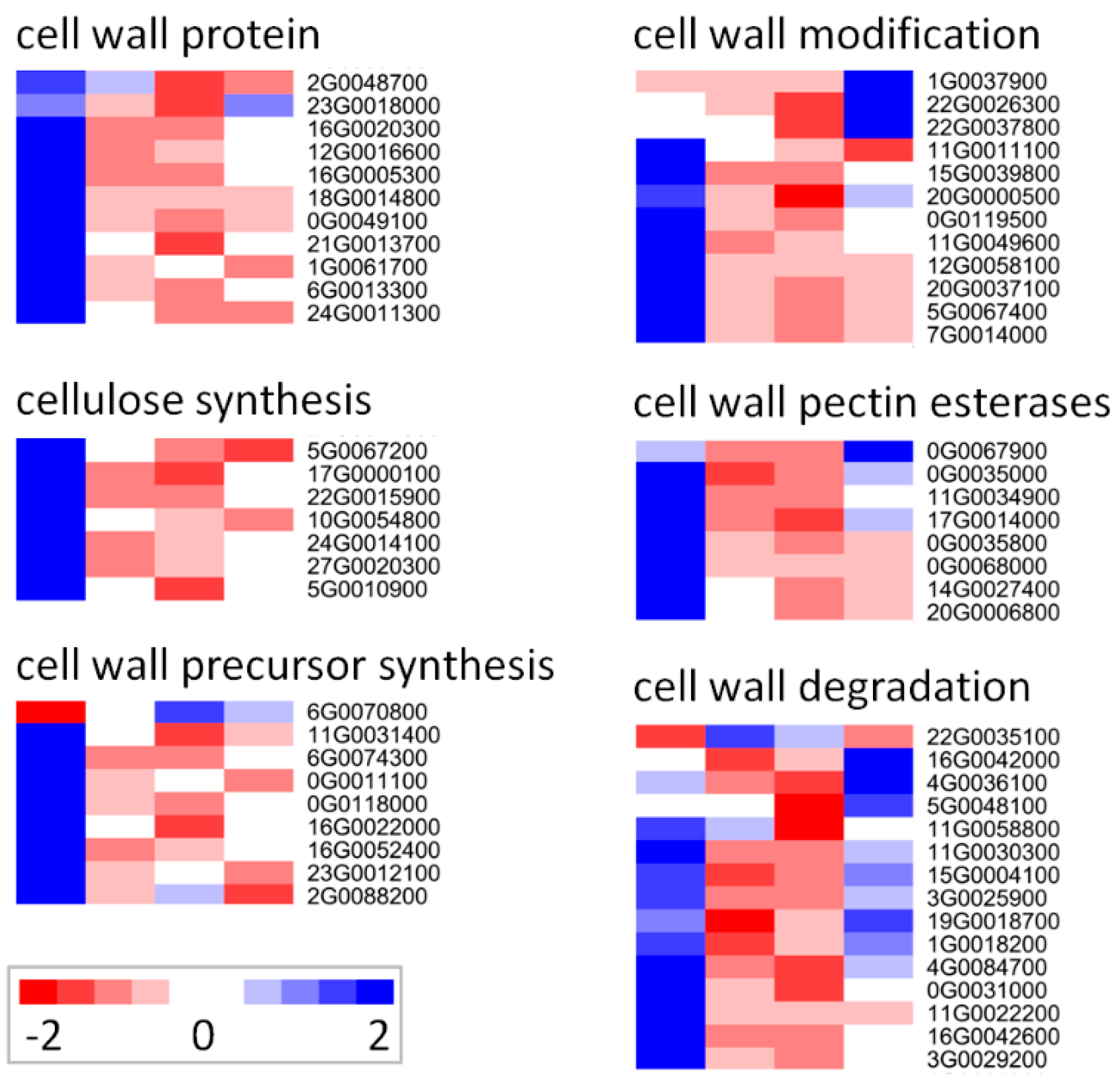Genes 10 00743 g006