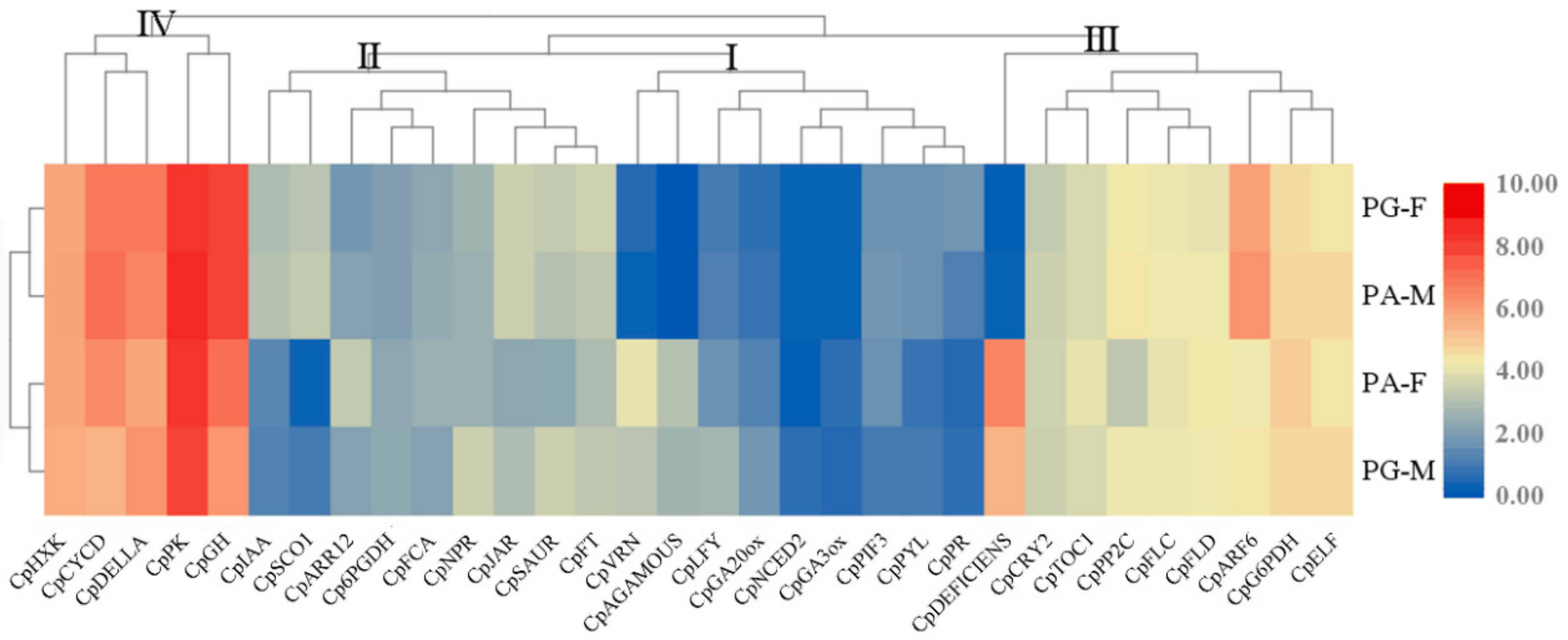 Genes 10 00818 g004