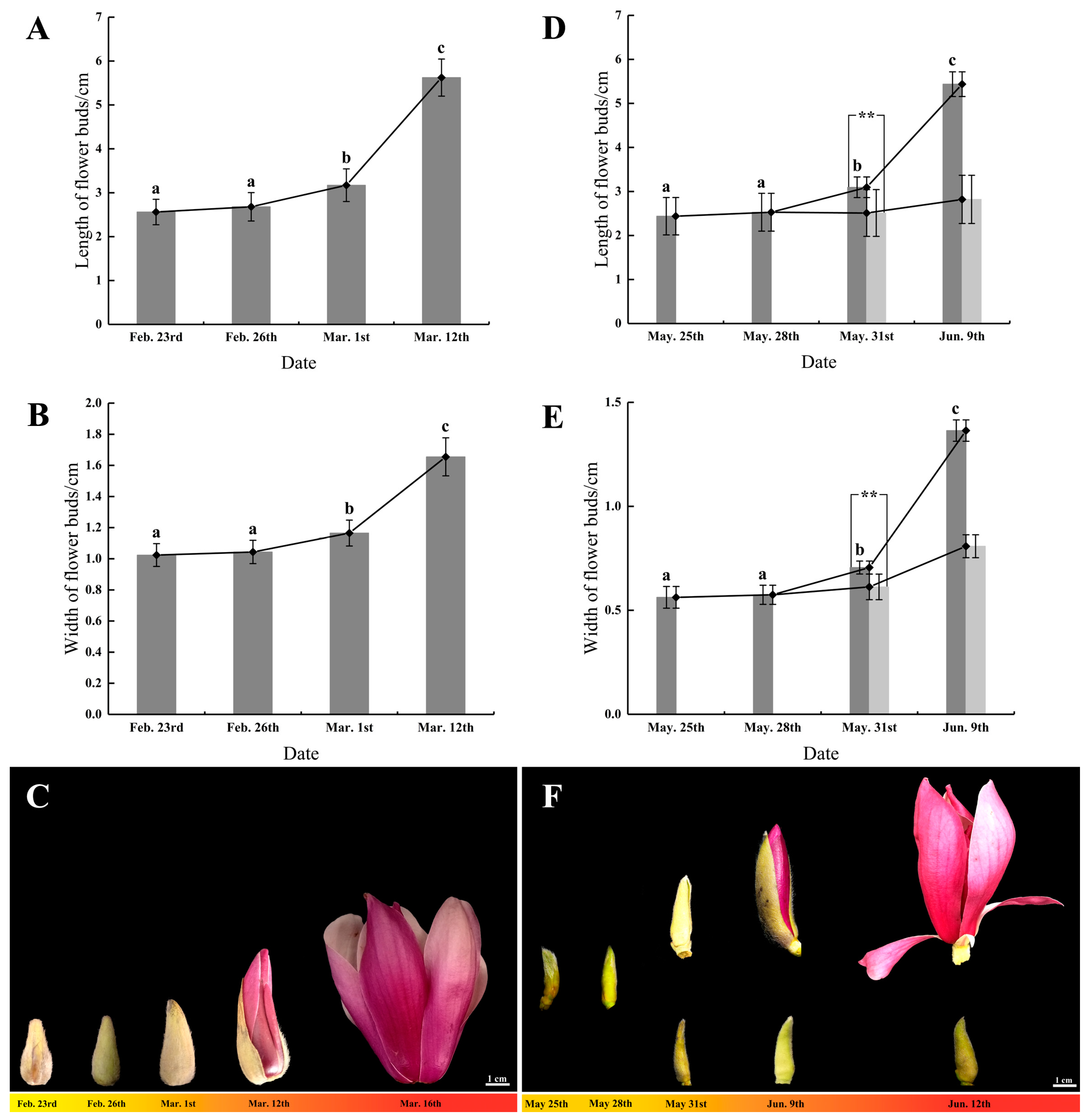 Genes 11 00015 g001