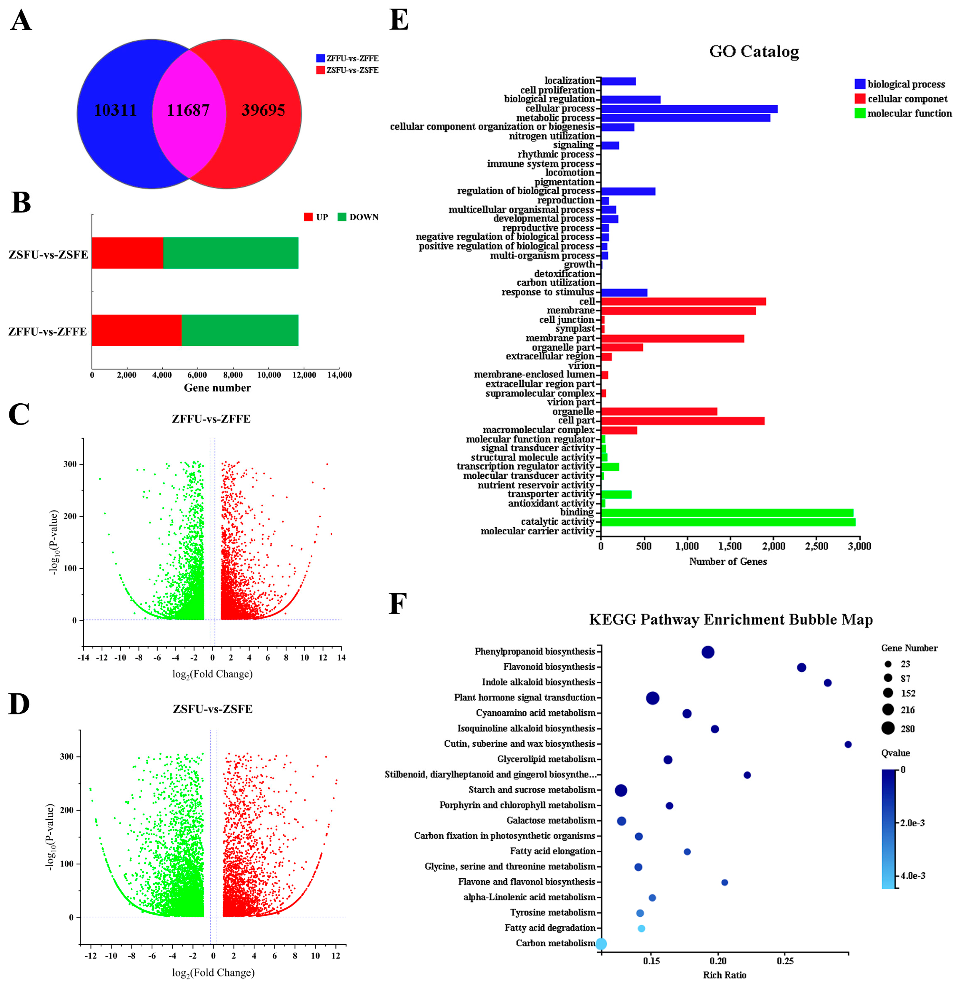 Genes 11 00015 g003