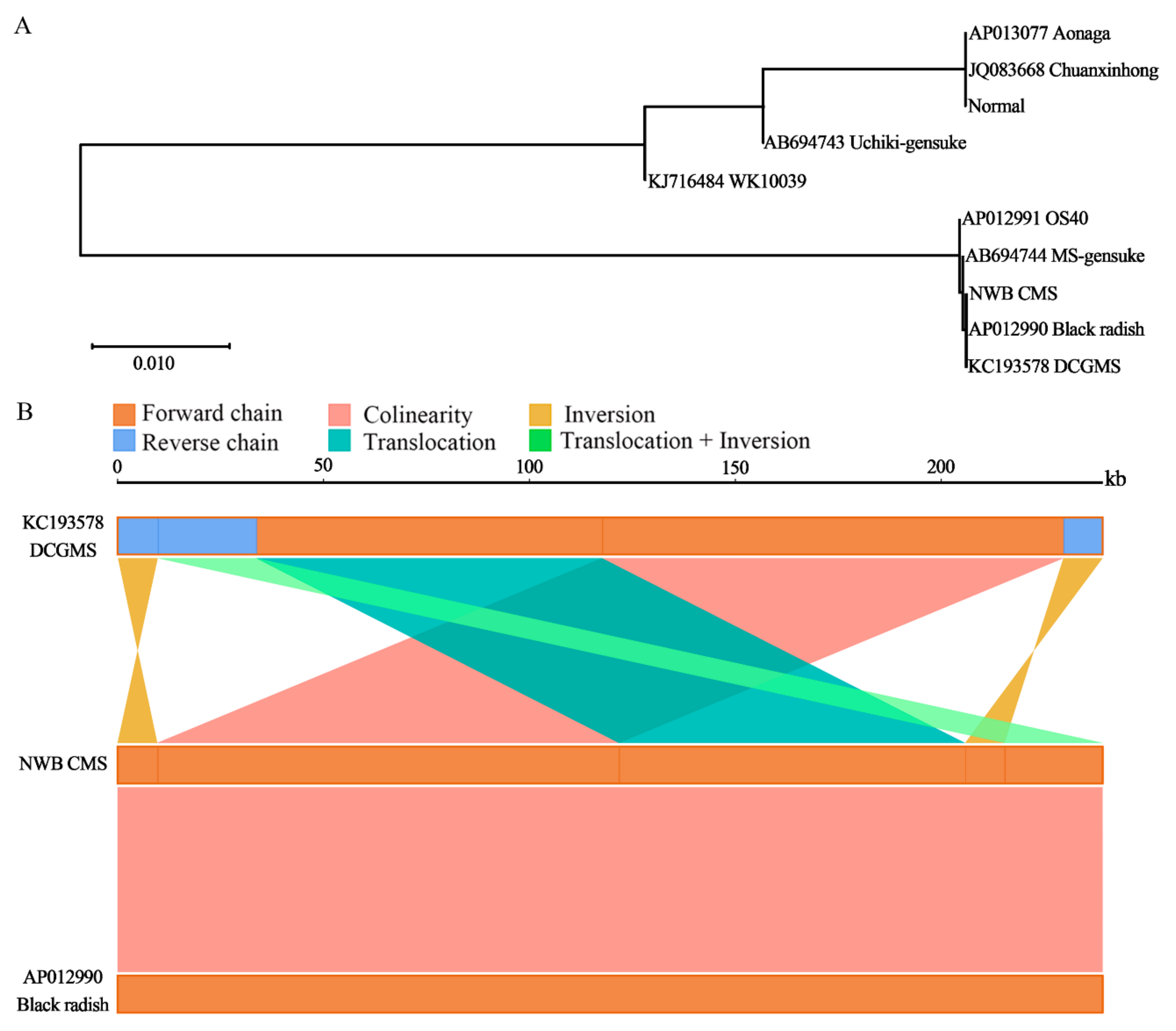 Genes 11 00074 g004
