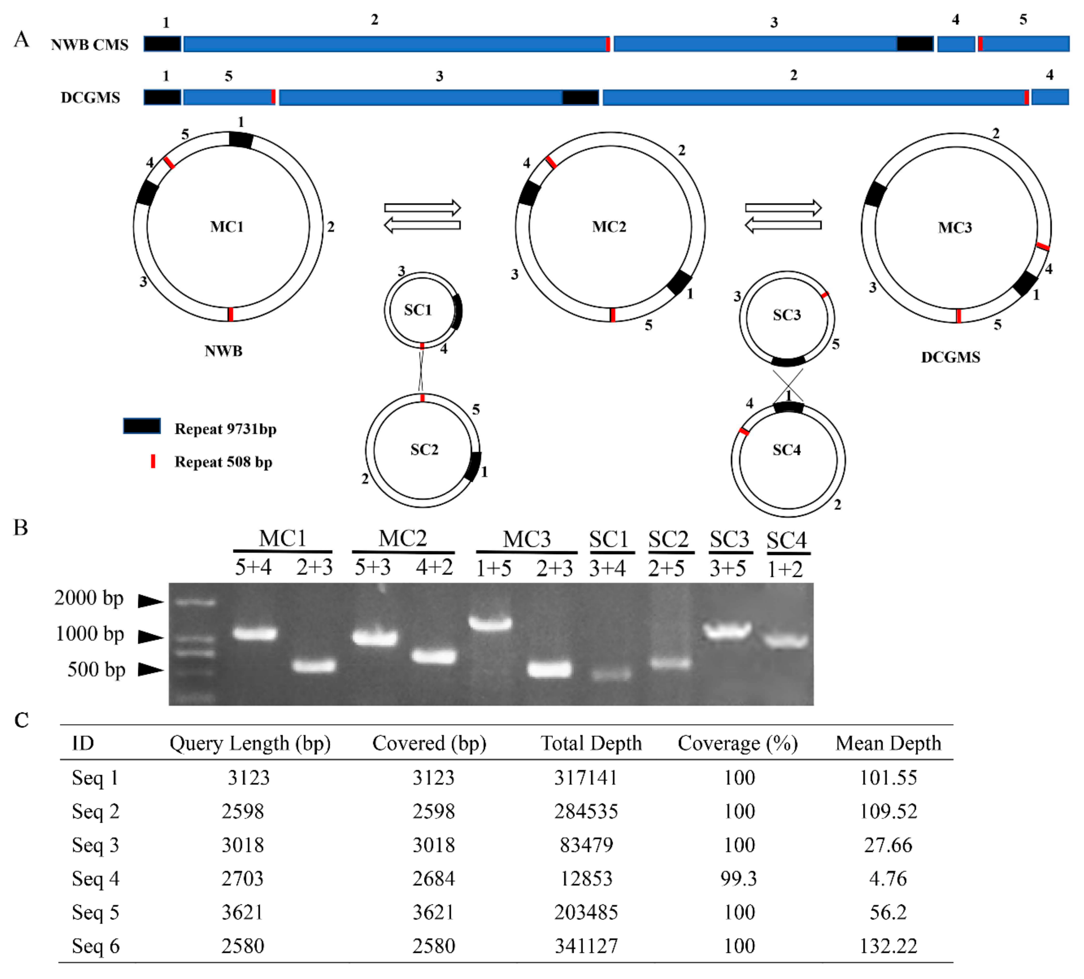 Genes 11 00074 g005