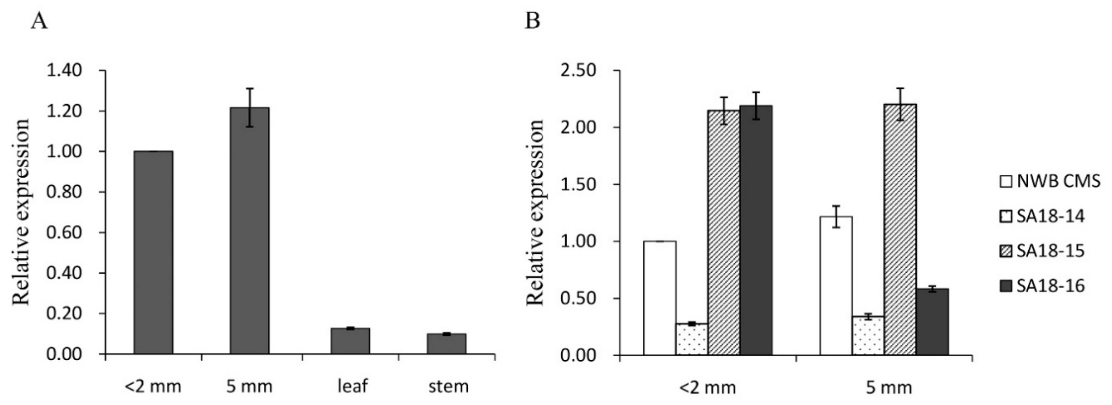 Genes 11 00074 g006