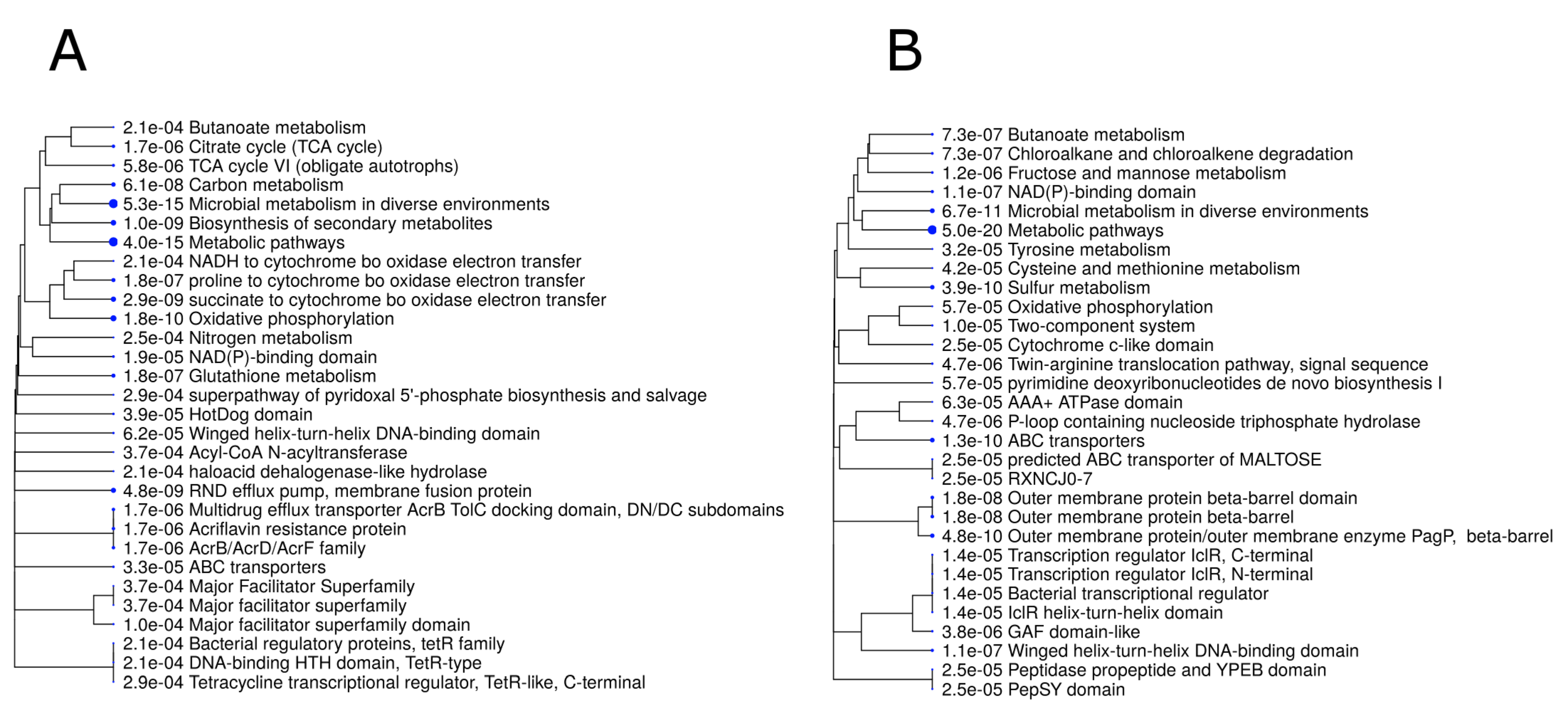 Genes 11 01016 g002