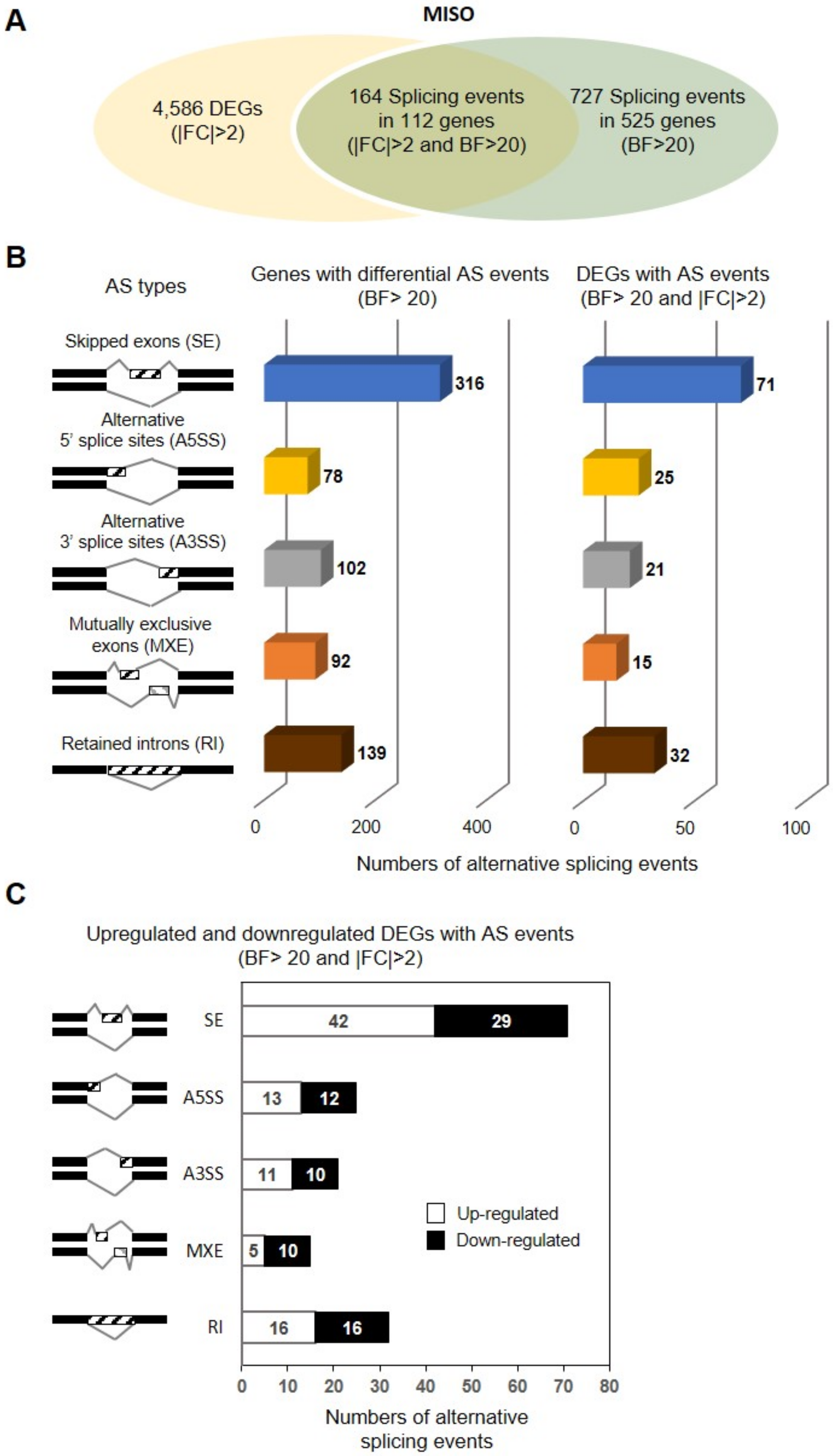 Genes 12 00737 g002 Genes 12 00737 g002