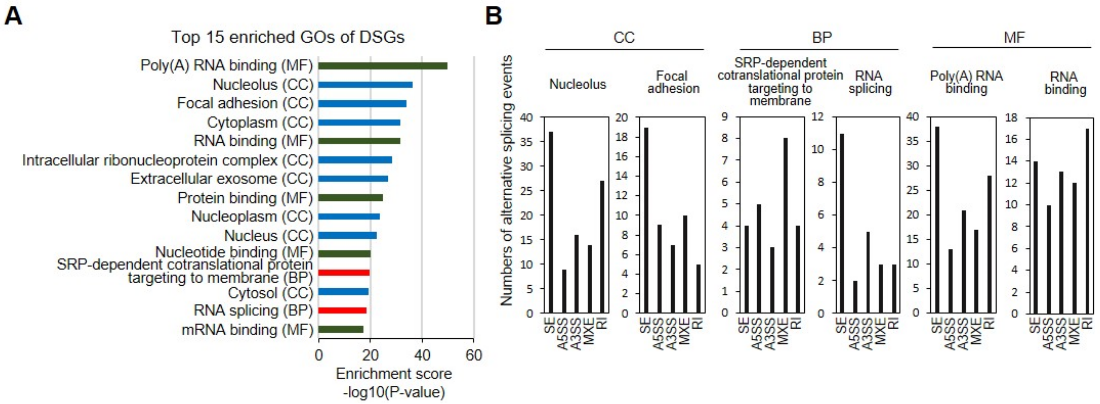Genes 12 00737 g003 Genes 12 00737 g003