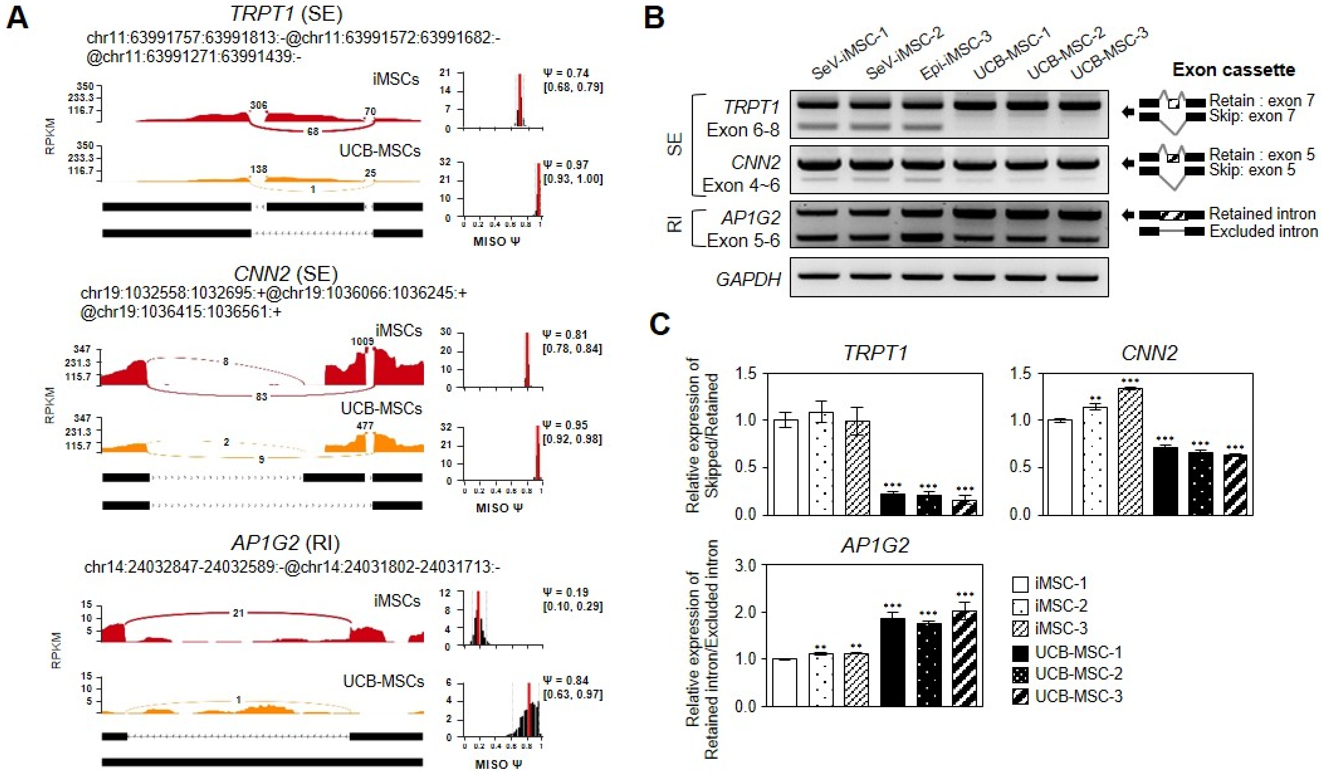 Genes 12 00737 g005 Genes 12 00737 g005