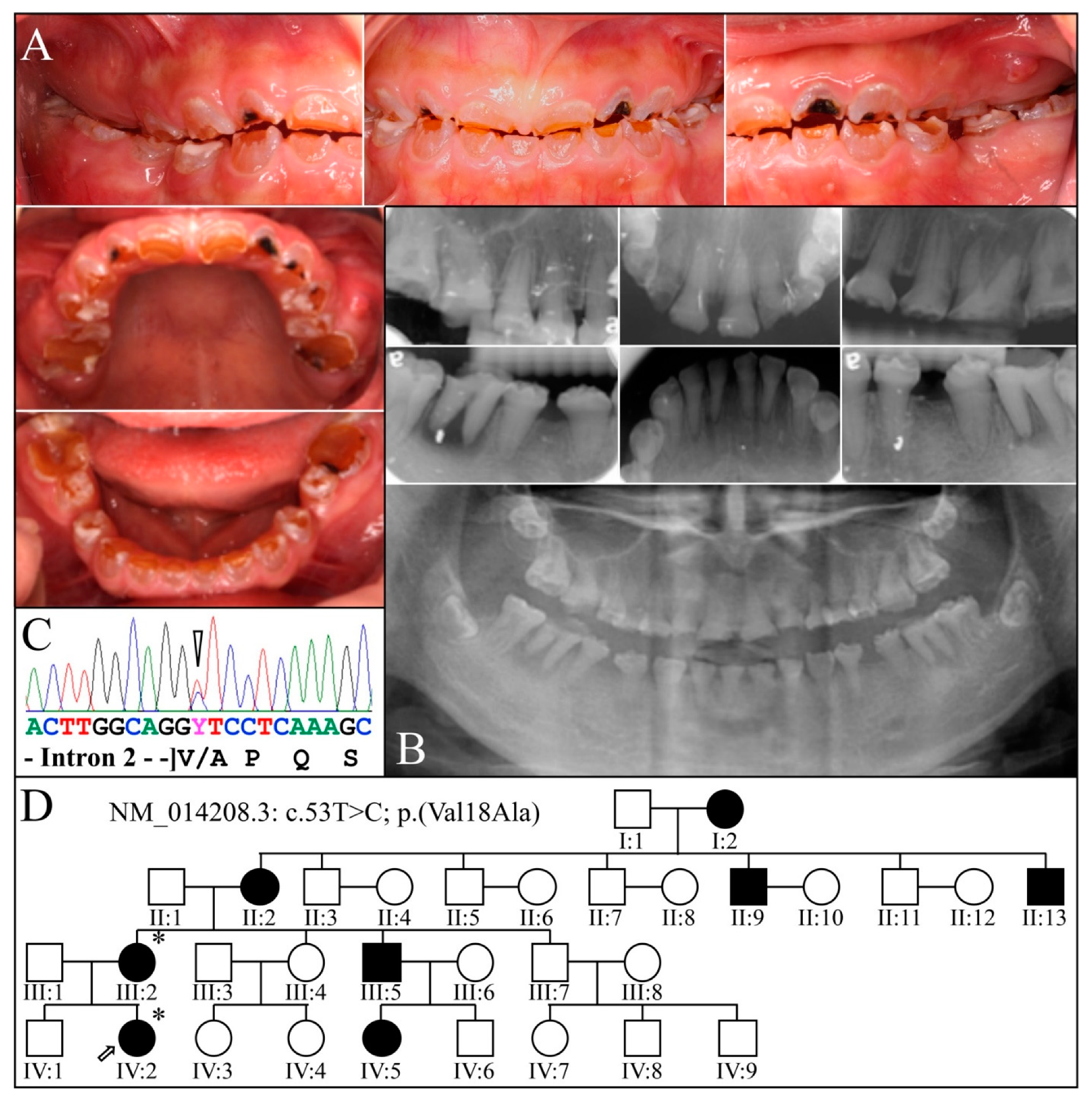 Genes 13 00858 g005