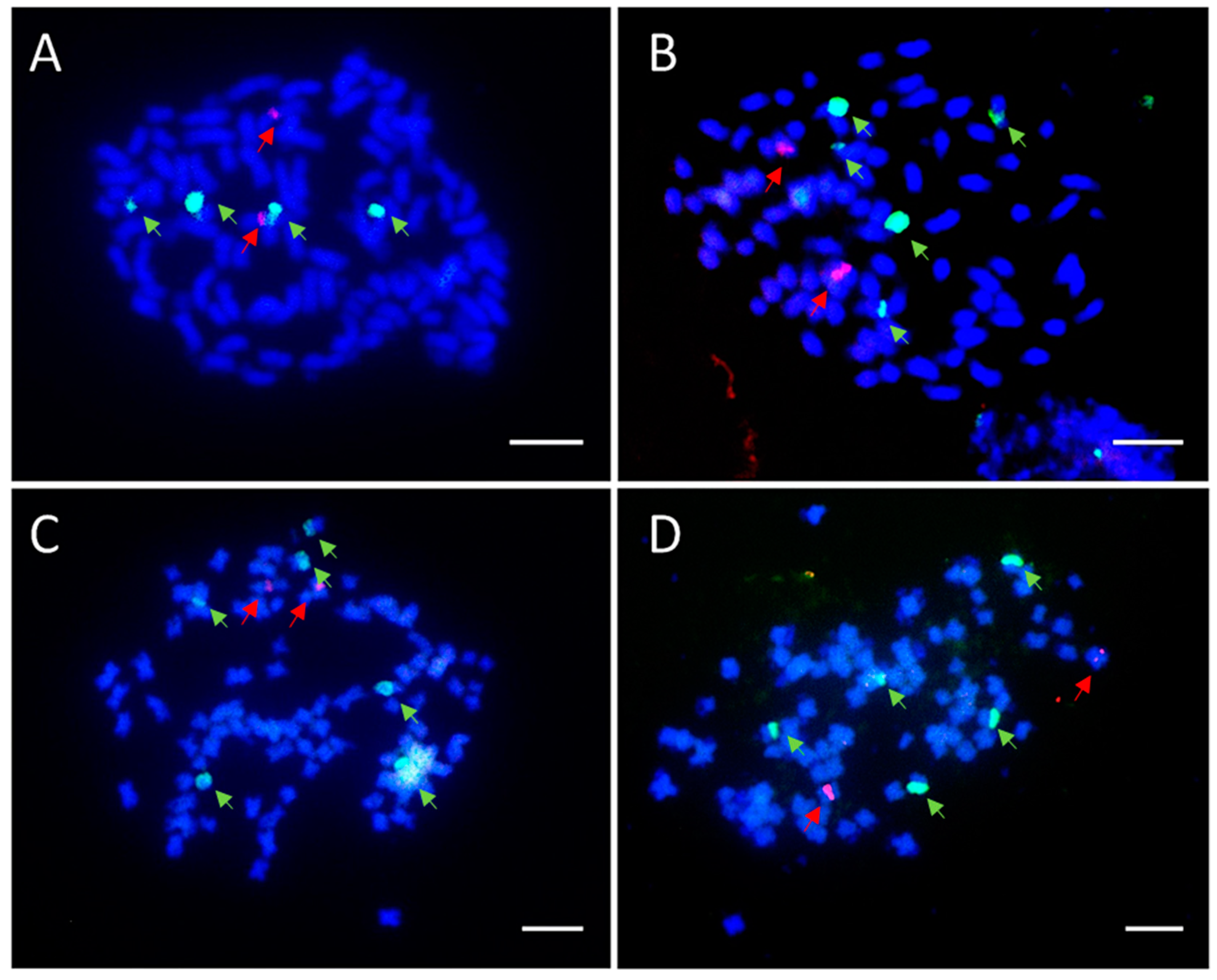 Genes 13 01022 g005 Genes 13 01022 g005