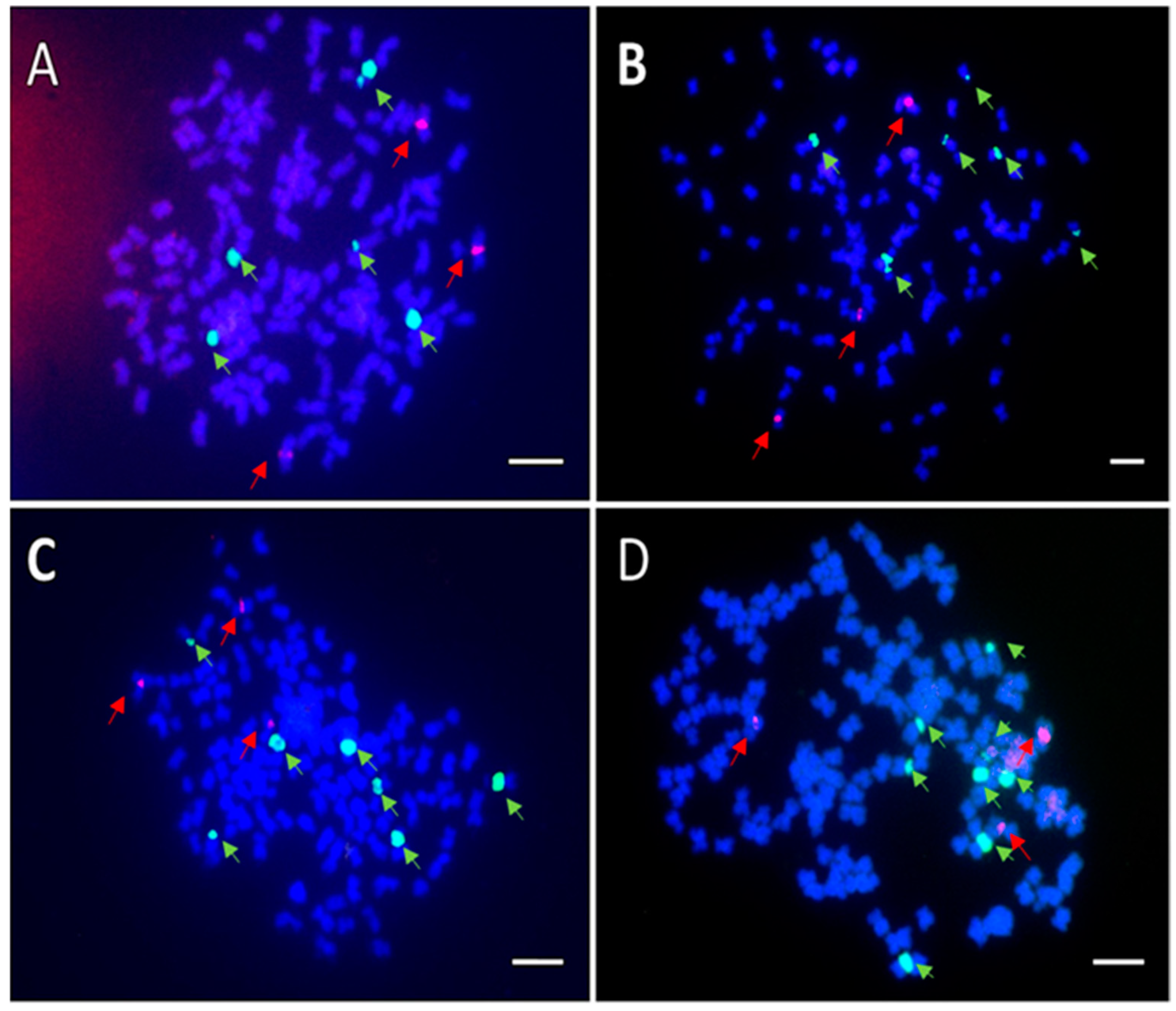 Genes 13 01022 g006 Genes 13 01022 g006