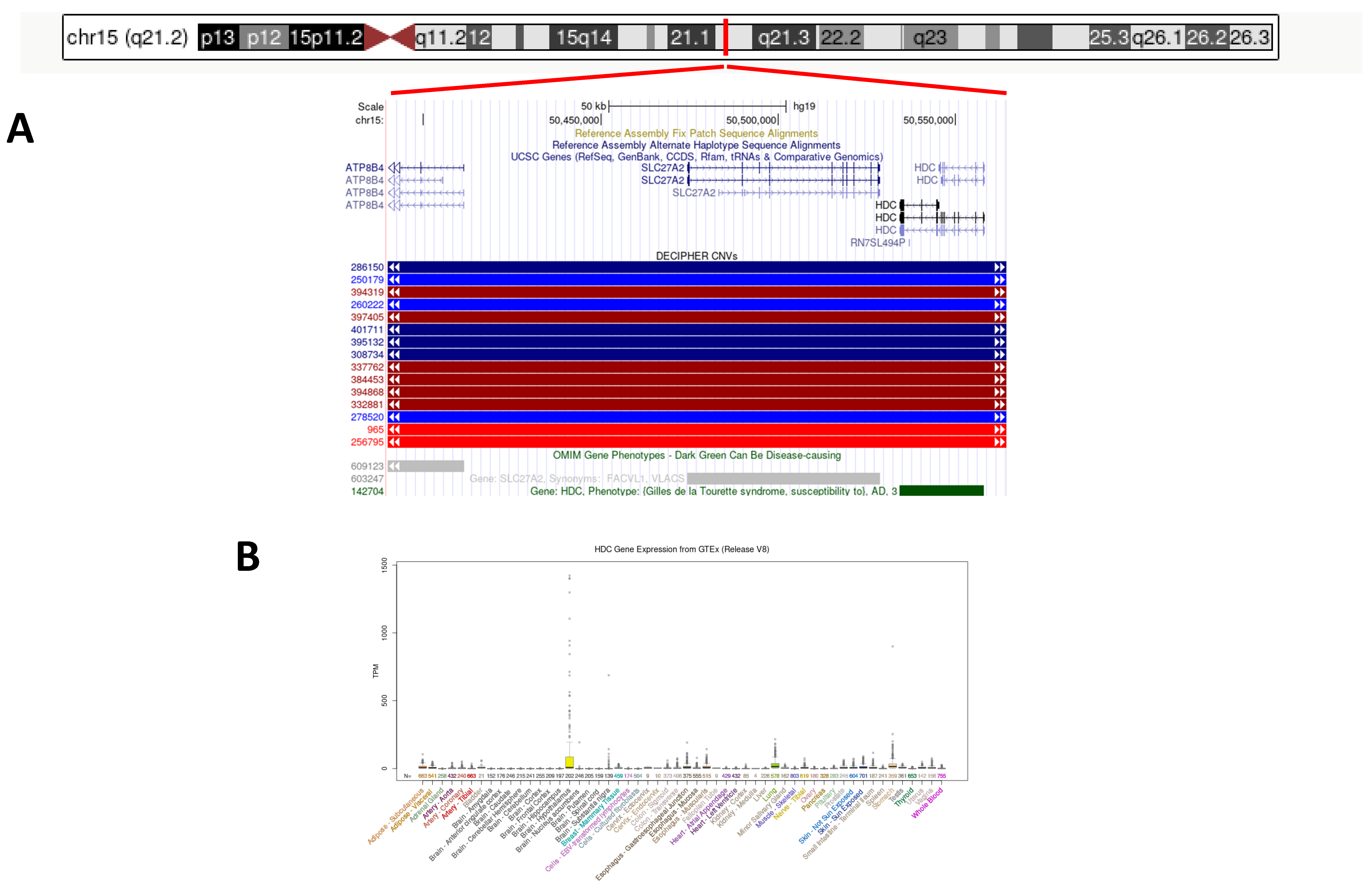 Genes 13 01685 g001 Genes 13 01685 g001